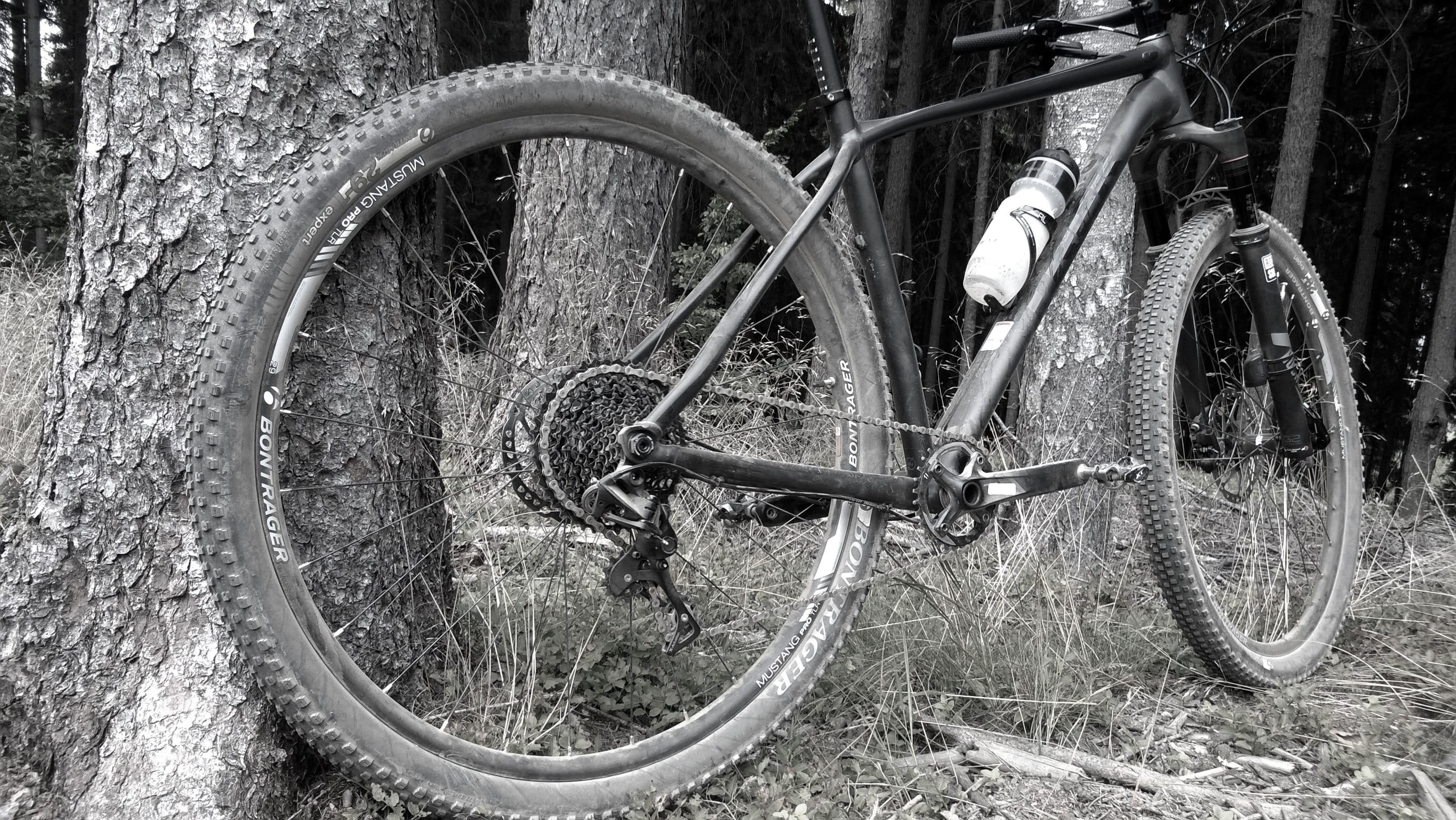tire, bicycle, tree trunk, retro styled, 29, day, tree, swieradow-zdroj, Trek, 2K, wheel, cycle, single track, Bike, nature, metal, abandoned, land vehicle, HD Wallpaper