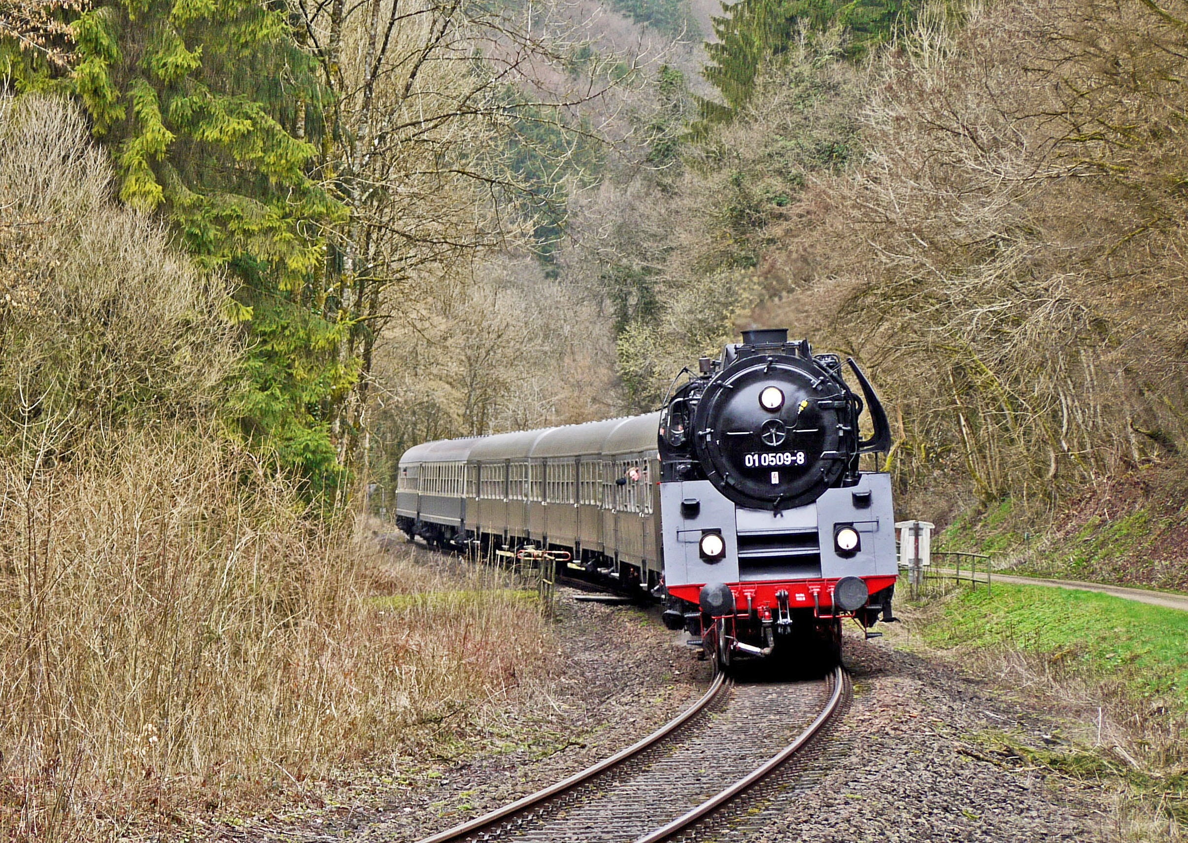 no people, land, tree, public transportation, track, main line, train, forest, field, travel, descent, 1080P, land vehicle, br 01-5, historically, the eifel railway, HD Wallpaper