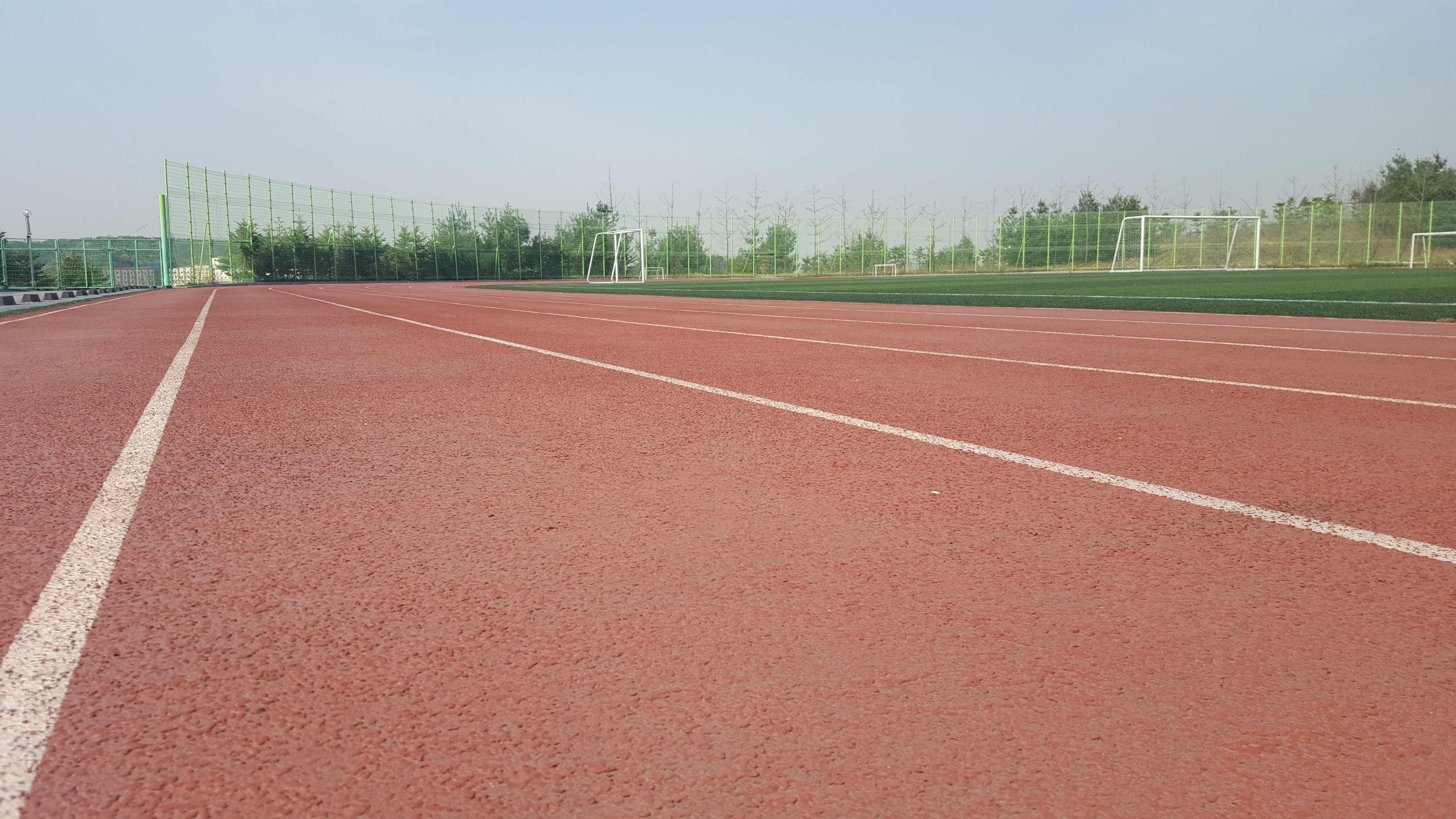 Track, day, grass, plant, running, track, sky, empty, diminishing perspective, Running, single line, racing, brown, sport, competitive, Marathon, no people, HD Wallpaper