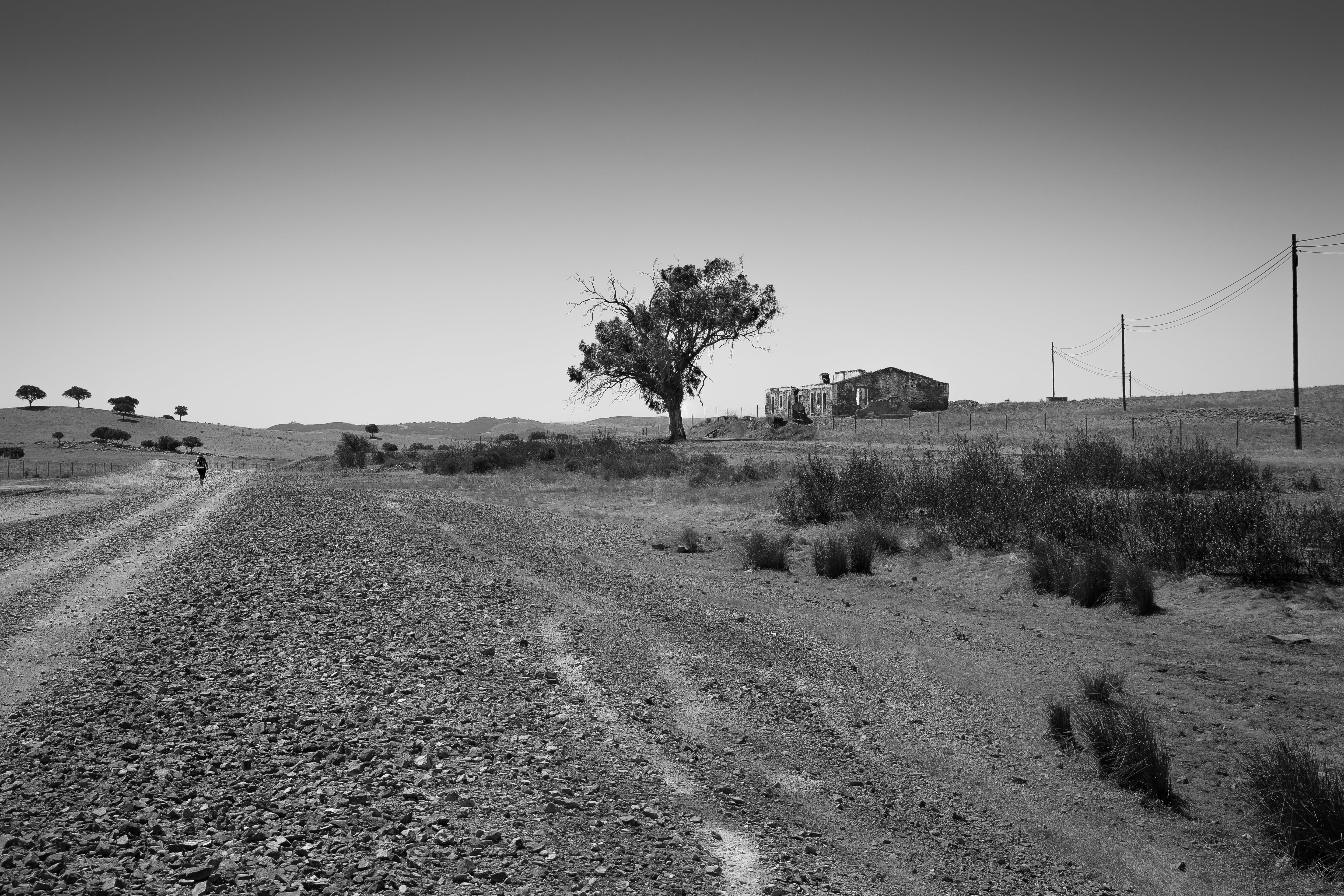 Beja District, Mina, Canon EOS 5D Mark III, caminho, arid, Canon EF, train track, rural Scene, USM, no People, monochrome, single, 105mm, trees, Alentejo, HD Wallpaper