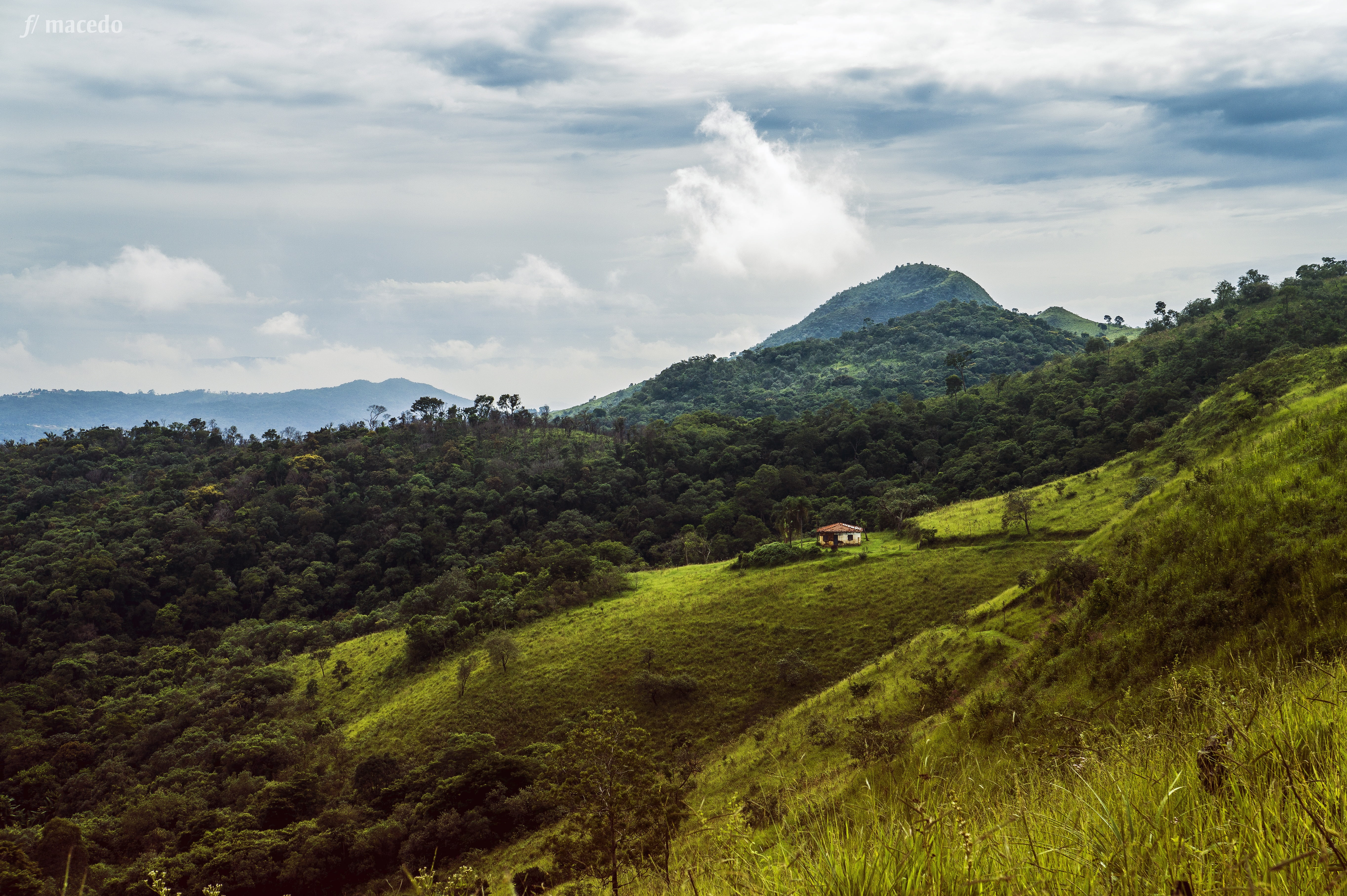 single track, flora, tranquility, hill, leisure, visual, outdoors, lonely, trip, adrenaline, tropical vegetation, grass, scenics - nature, plants, home, HD Wallpaper