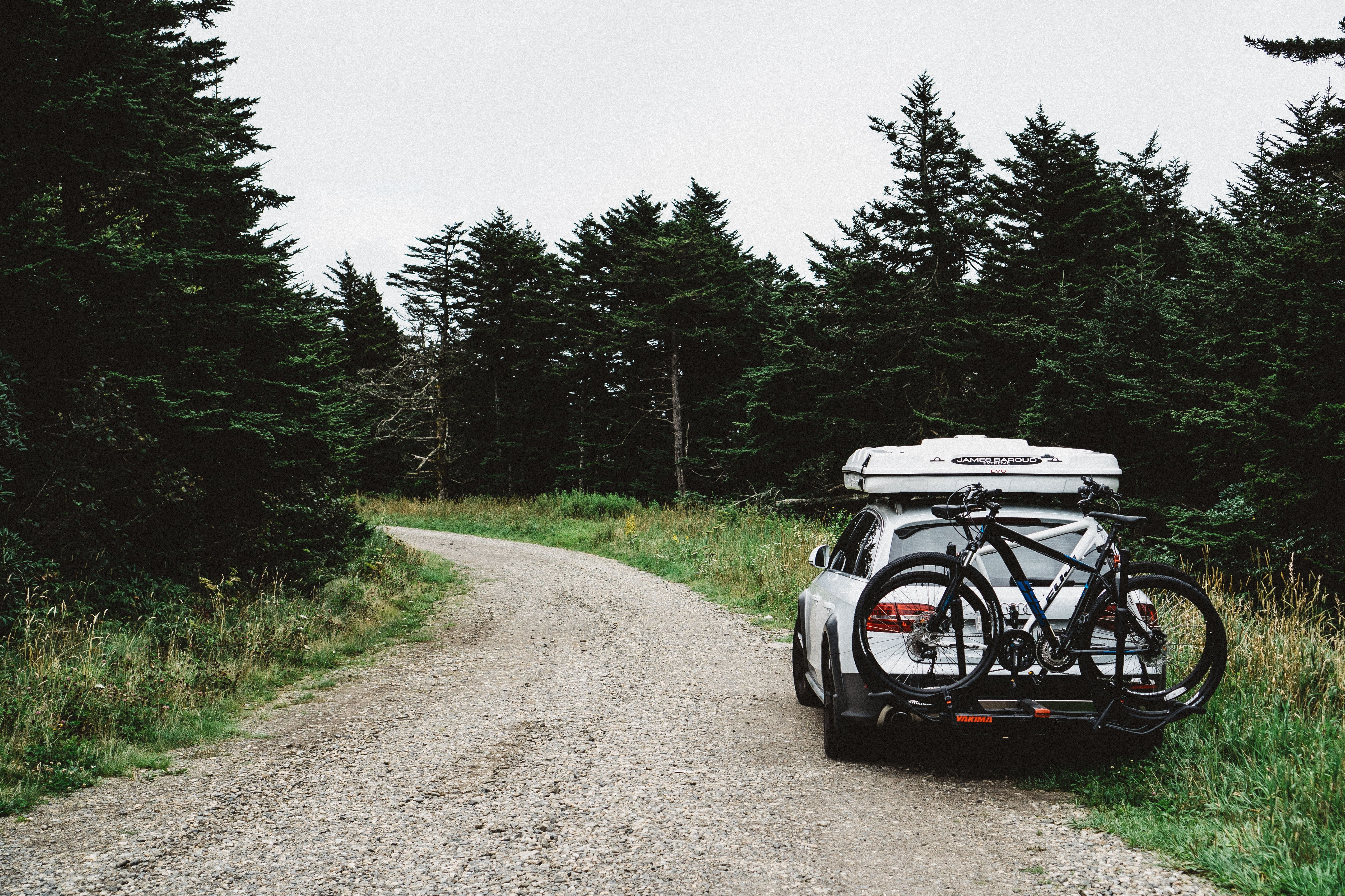 day, bicycle, dirt Road, 4K, growth, direction, tree, adventure, plant, non-Urban Scene, forest, old-fashioned, land, country Road, journey, retro Styled, HD Wallpaper