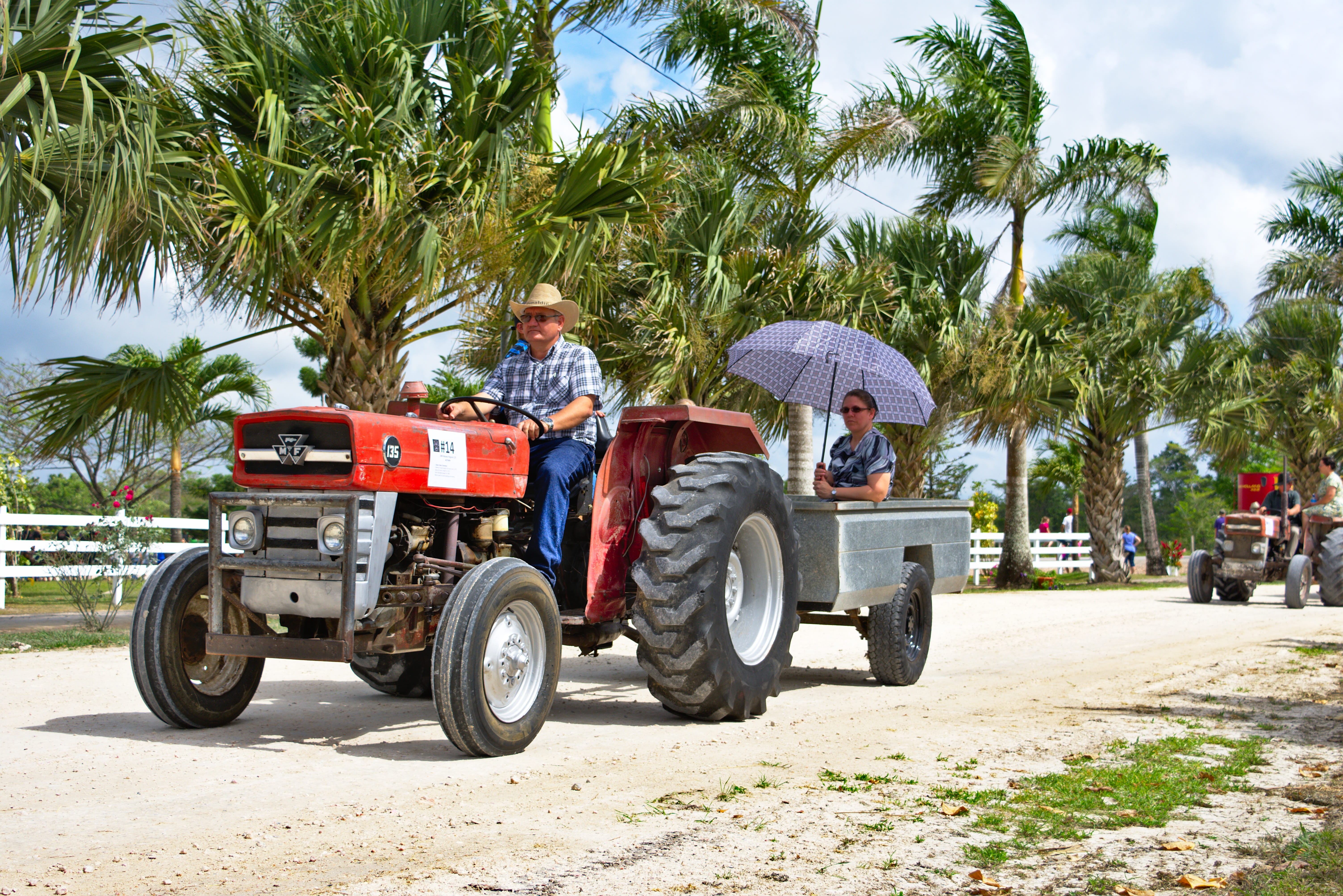 tree, 5K, country, machine, transportation, belize, red, mode of transportation, farmer, land vehicle, machinery, vintage, sky, metal, casual clothing, HD Wallpaper