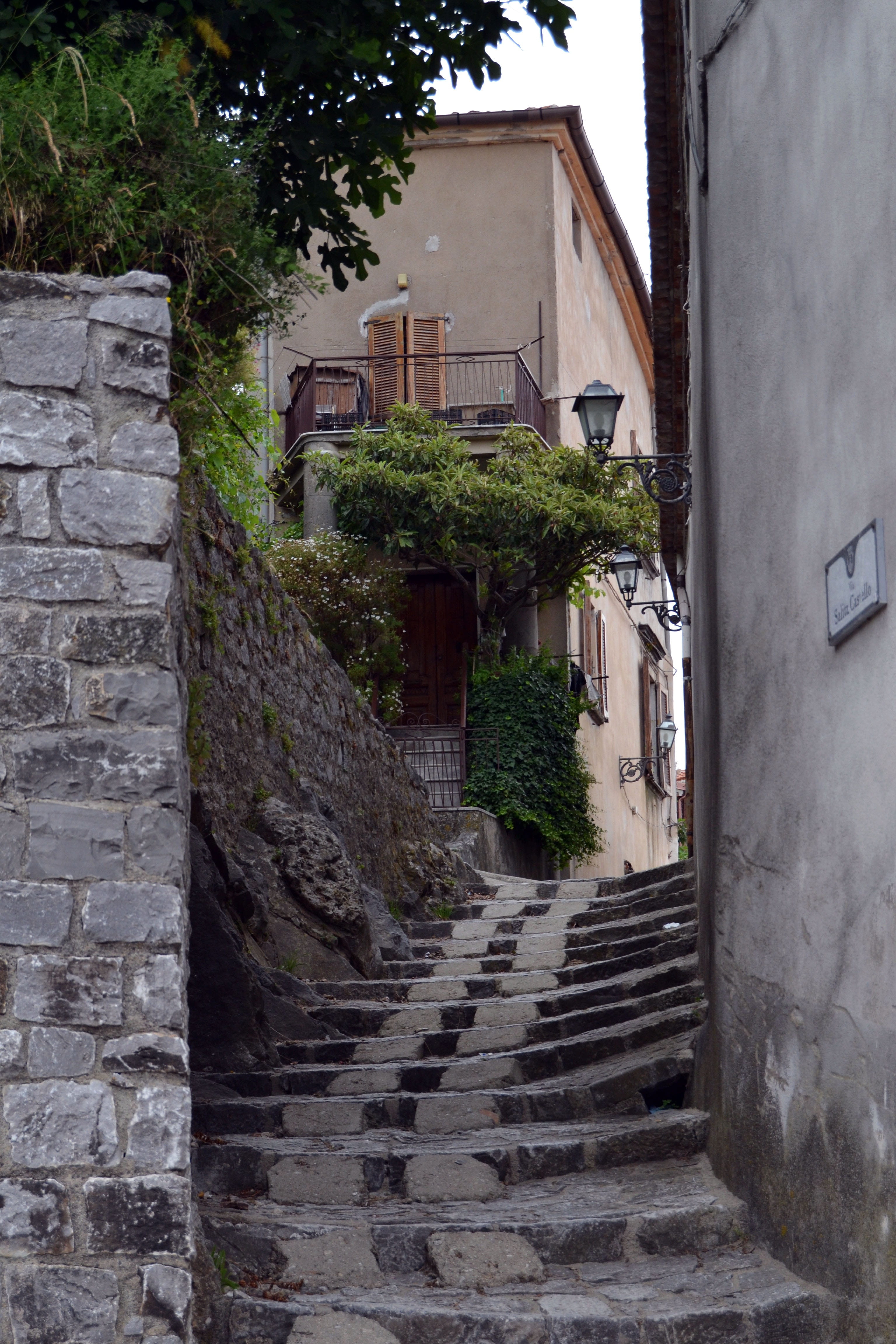 tree, road, Paved, steps, the way forward, outdoors, Old Town, no people, house, Alley, stone wall, Italy, narrow, campania, narrow lane, nature, wall, Phone HD Wallpaper