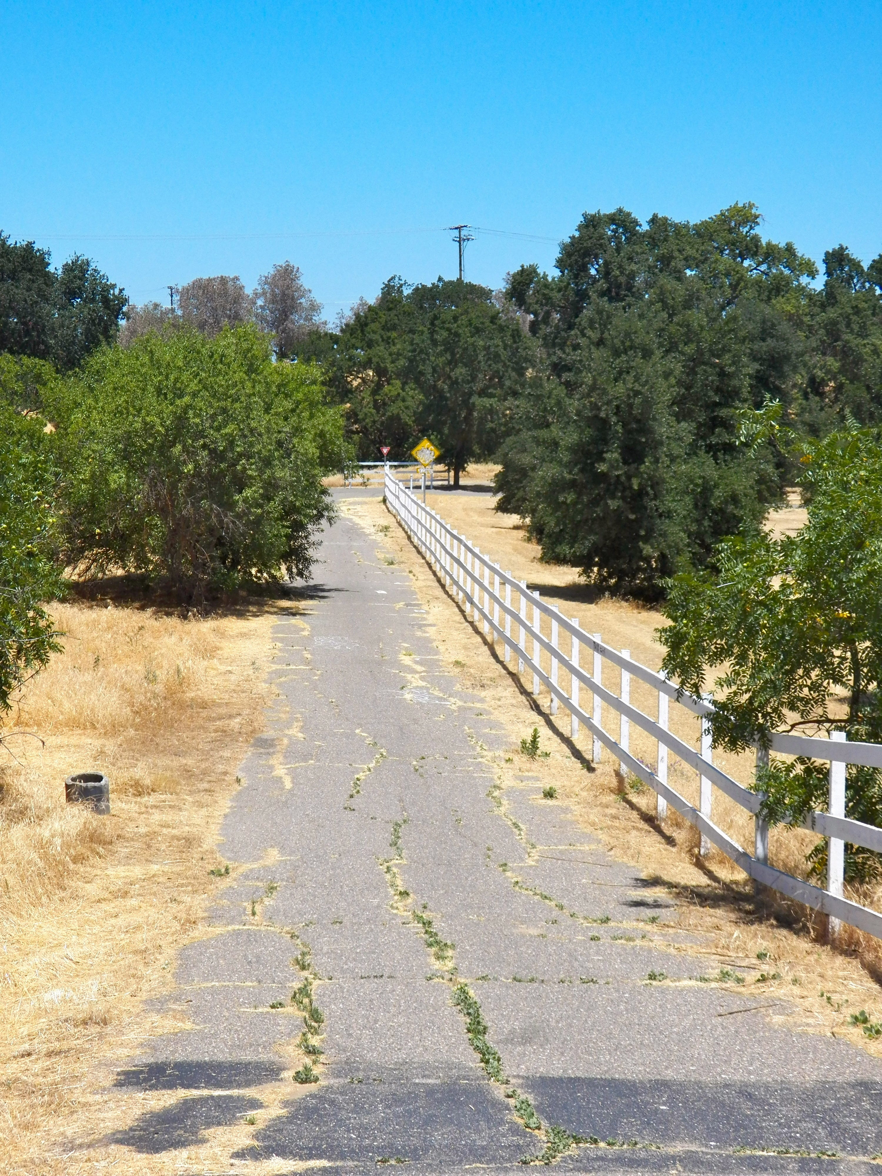 tranquility, road, nature, outdoors, growth, clear sky, 4K, countryside, the way forward, Fence, path, narrow road, sunlight, sky, plant, tree, diminishing perspective, Phone HD Wallpaper