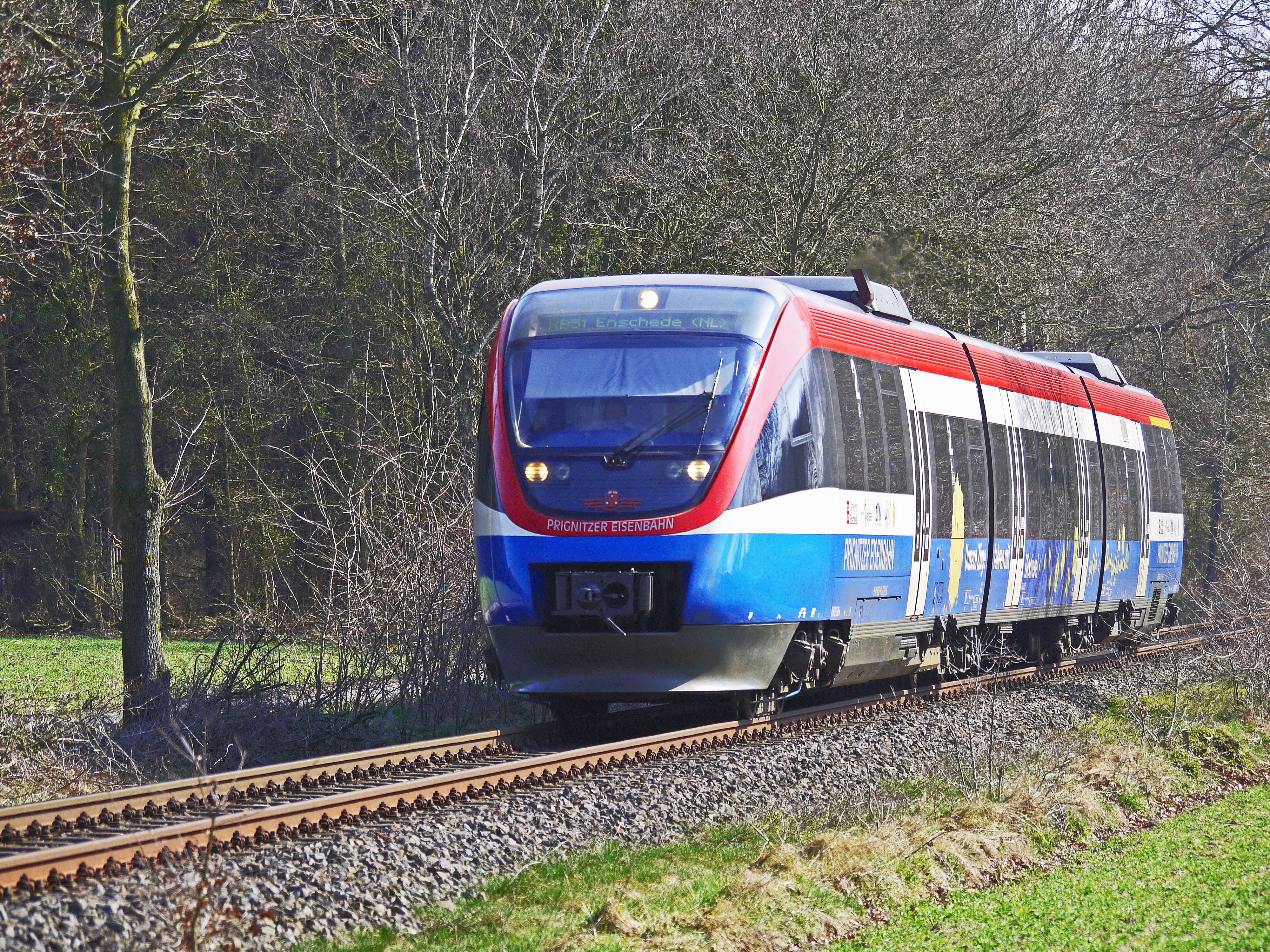train, diesel railcar, train - vehicle, land vehicle, talent, transport, outdoors, public transportation, grass, plant, single-track, transport system, HD Wallpaper