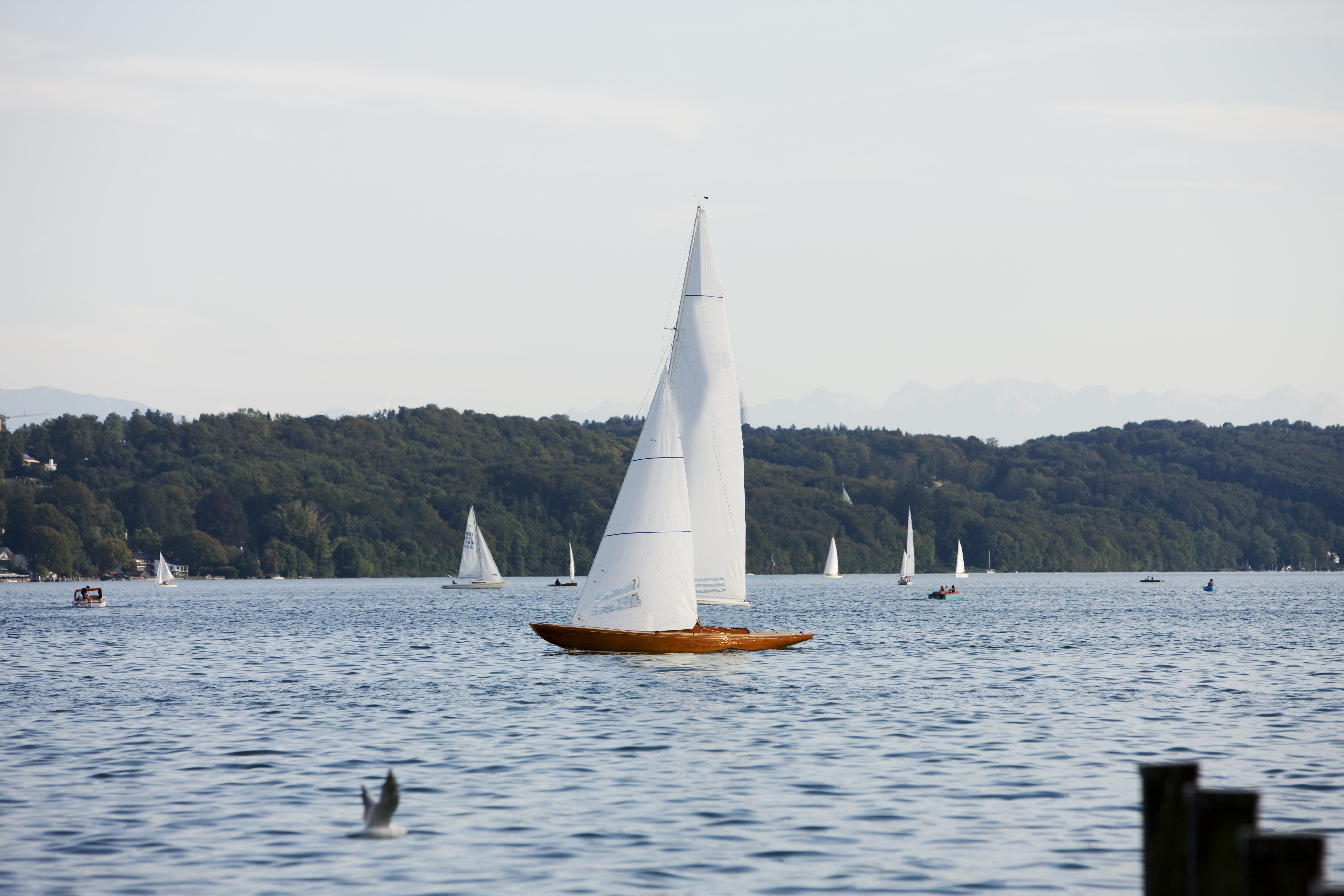 lake, sky, one animal, nautical Vessel, sailboat, nature, covered sky, outdoors, Boot, 5K, sailing Ship, sail, spring, ship, recreational boat, upper bavaria, HD Wallpaper