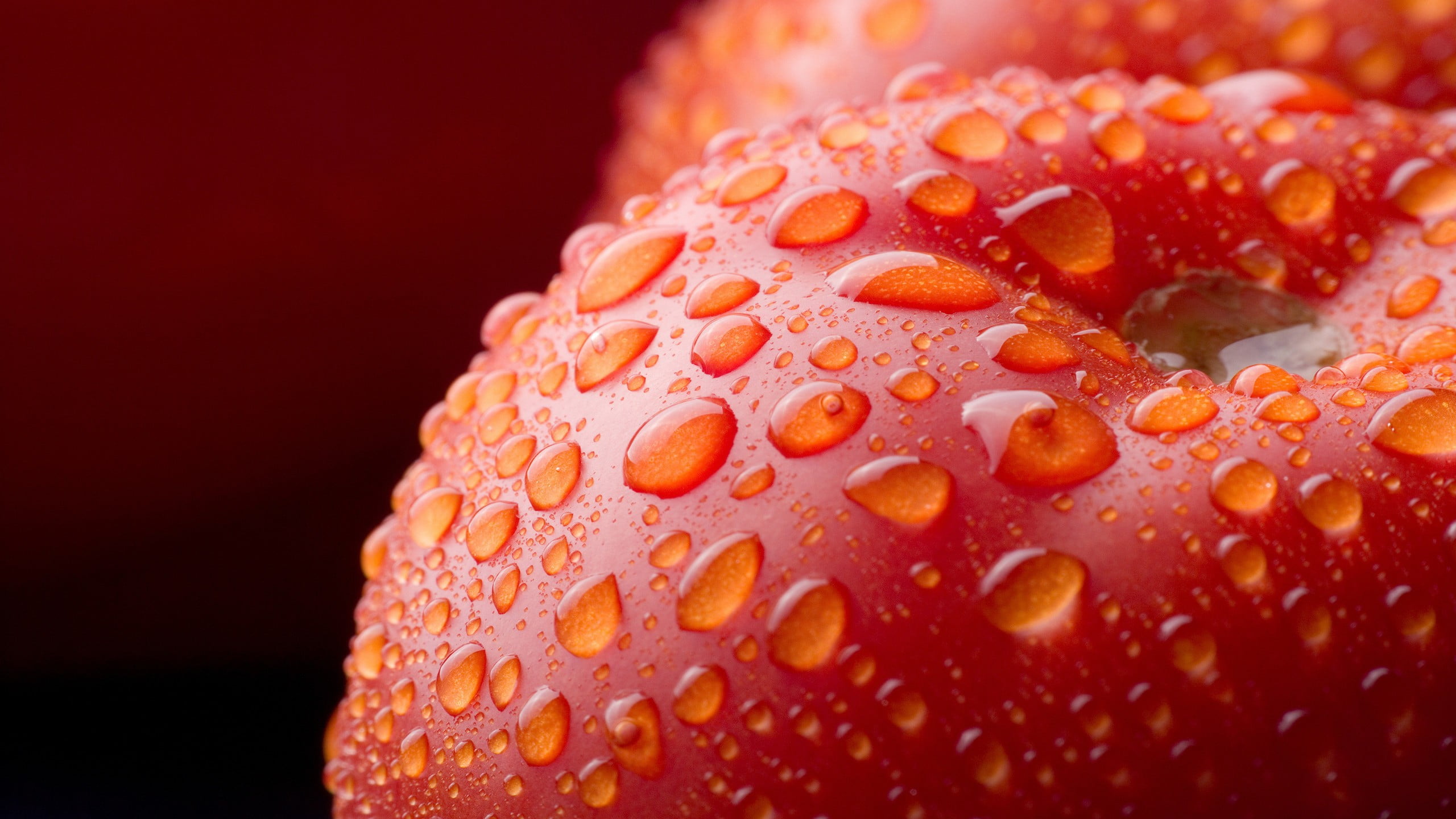 beauty in nature, nature, studio shot, water drops, flowering plant, water, food and drink, orange color, red, food, freshness, pattern, indoors, plant, HD Wallpaper