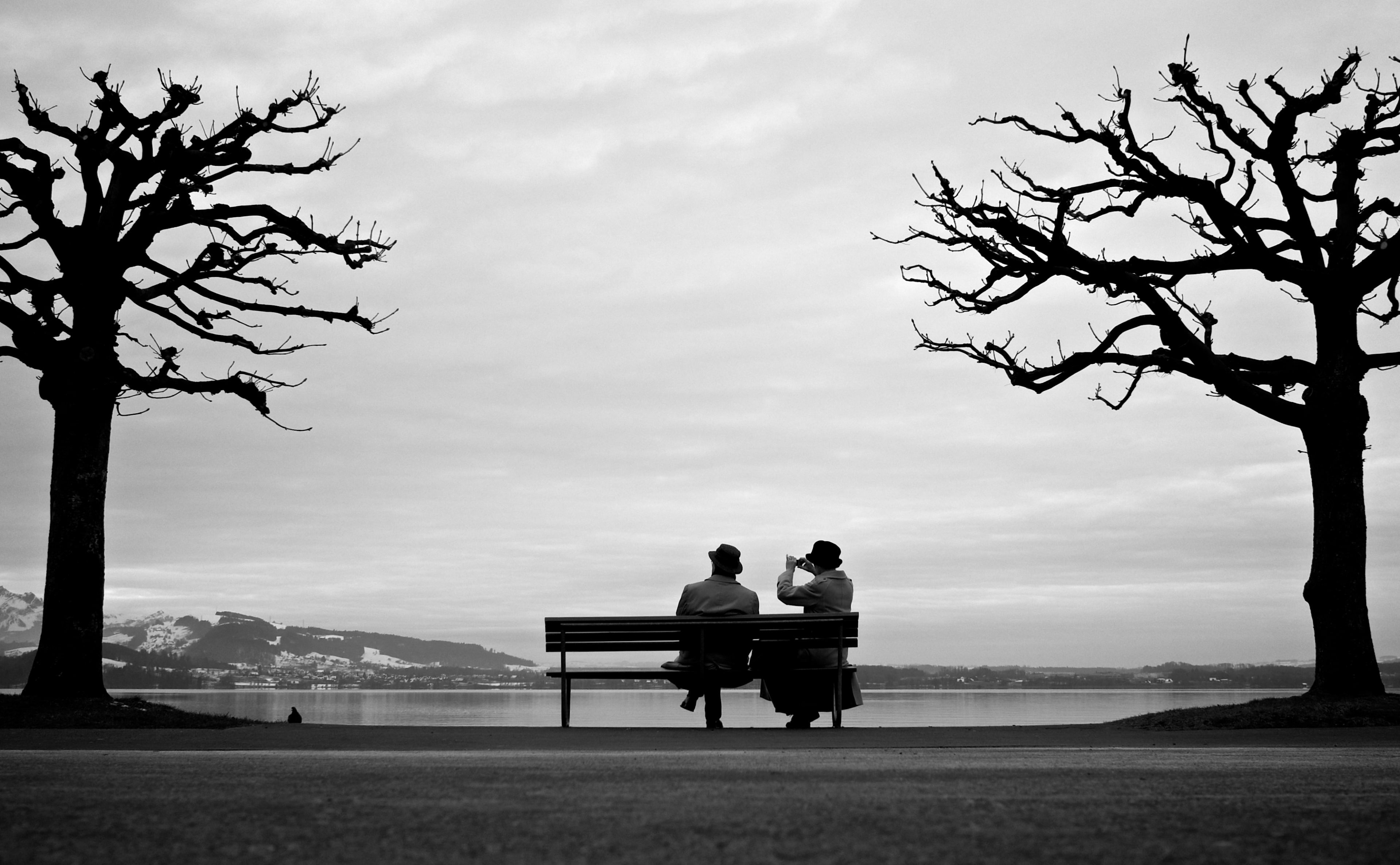 Street, looking at view, 4K, full length, leisure activity, care, Black, People, Family, pictures, interestingness, plant, Photography, blackandwhite, HD Wallpaper