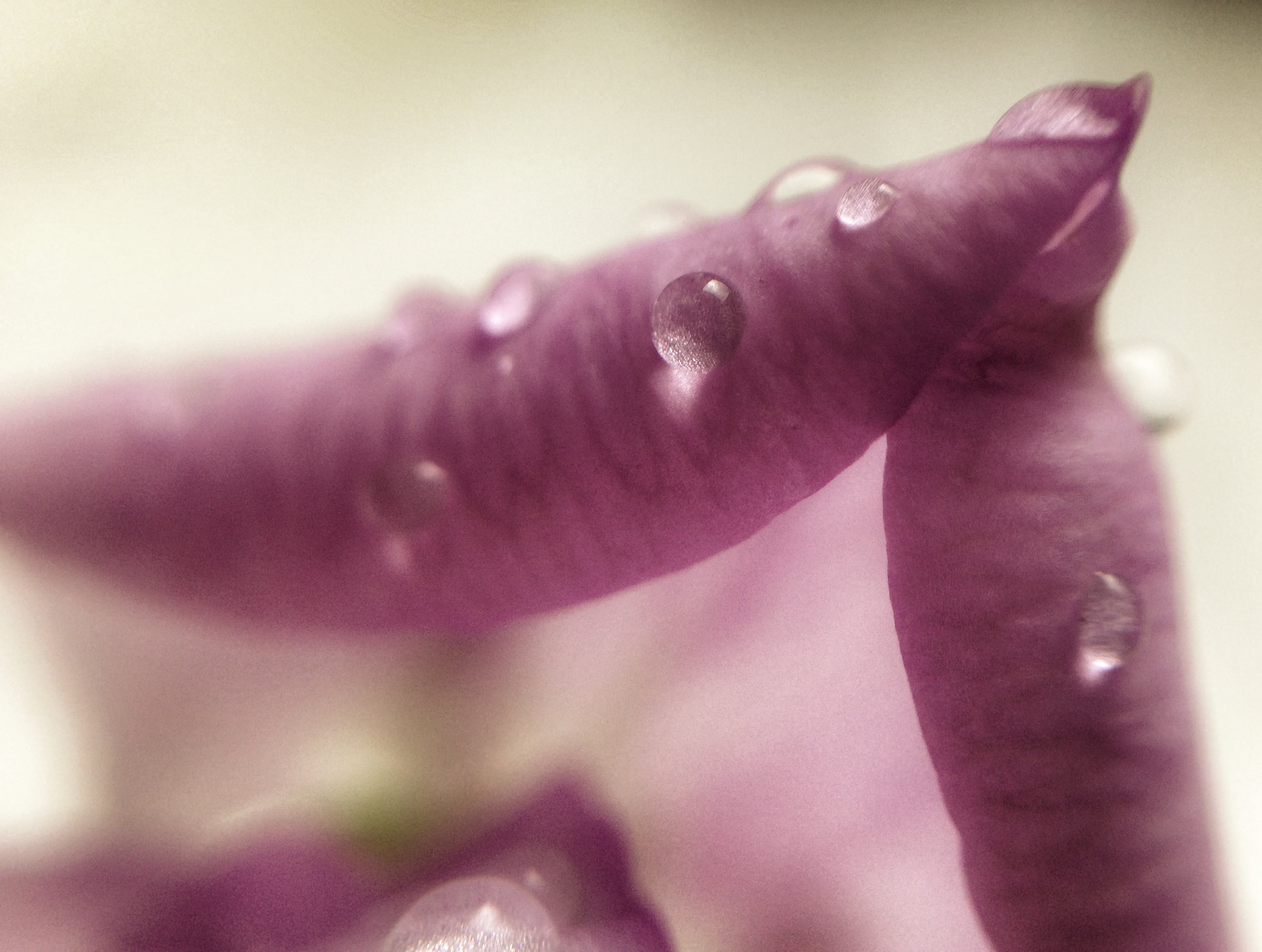 Instagram, finger tips, abstract, iPhone, mobile, imagination, amazing, macro, Iphoneography, 2K, filter, finger, photography, uploaded, water, Awesome, HD Wallpaper