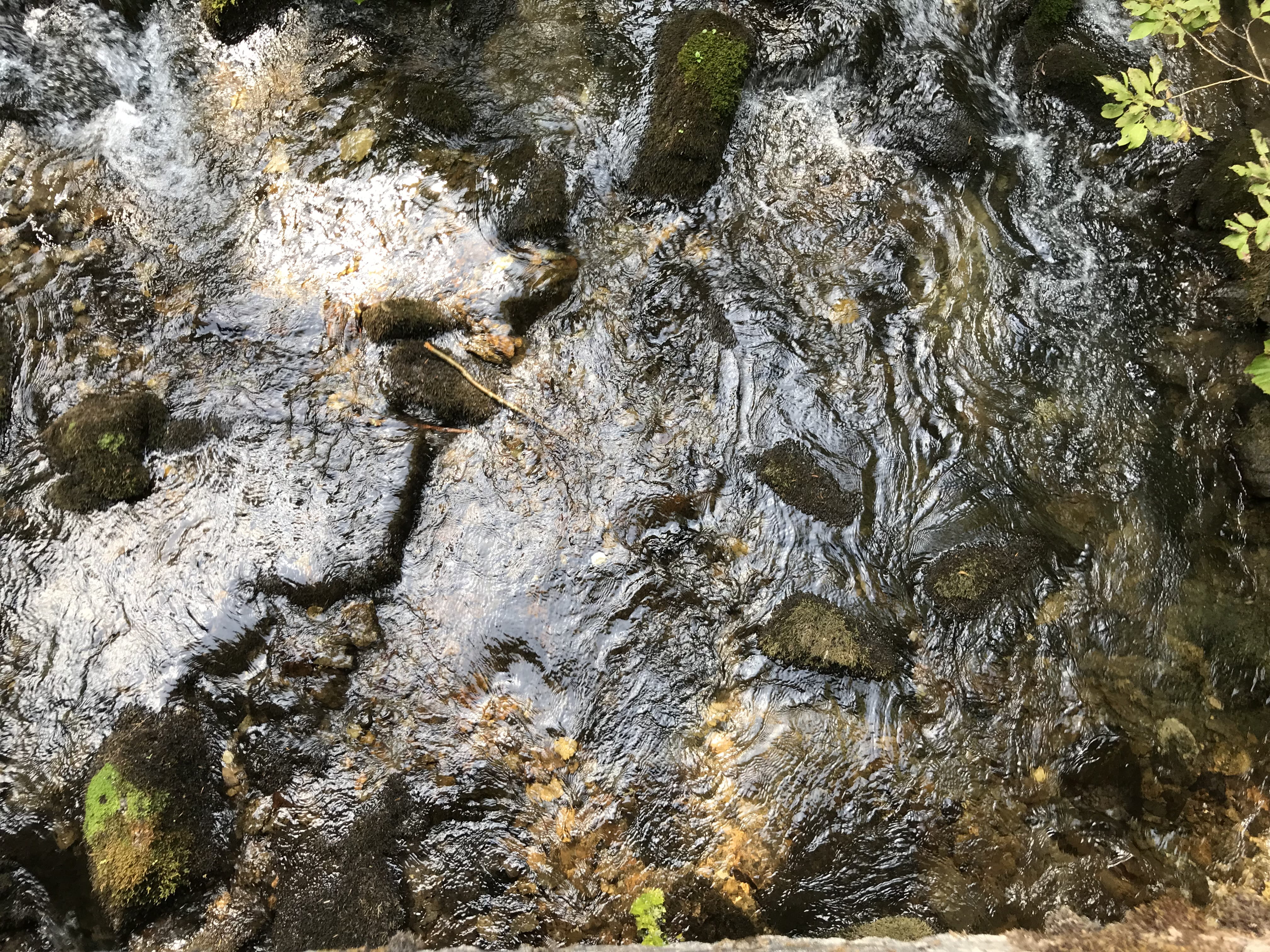 nature backgrounds, creek, river, iphone, tree, trunk, hiking, iphone backgrounds, rock - object, bark, full frame, wave, waves, no people, adventure, day, HD Wallpaper
