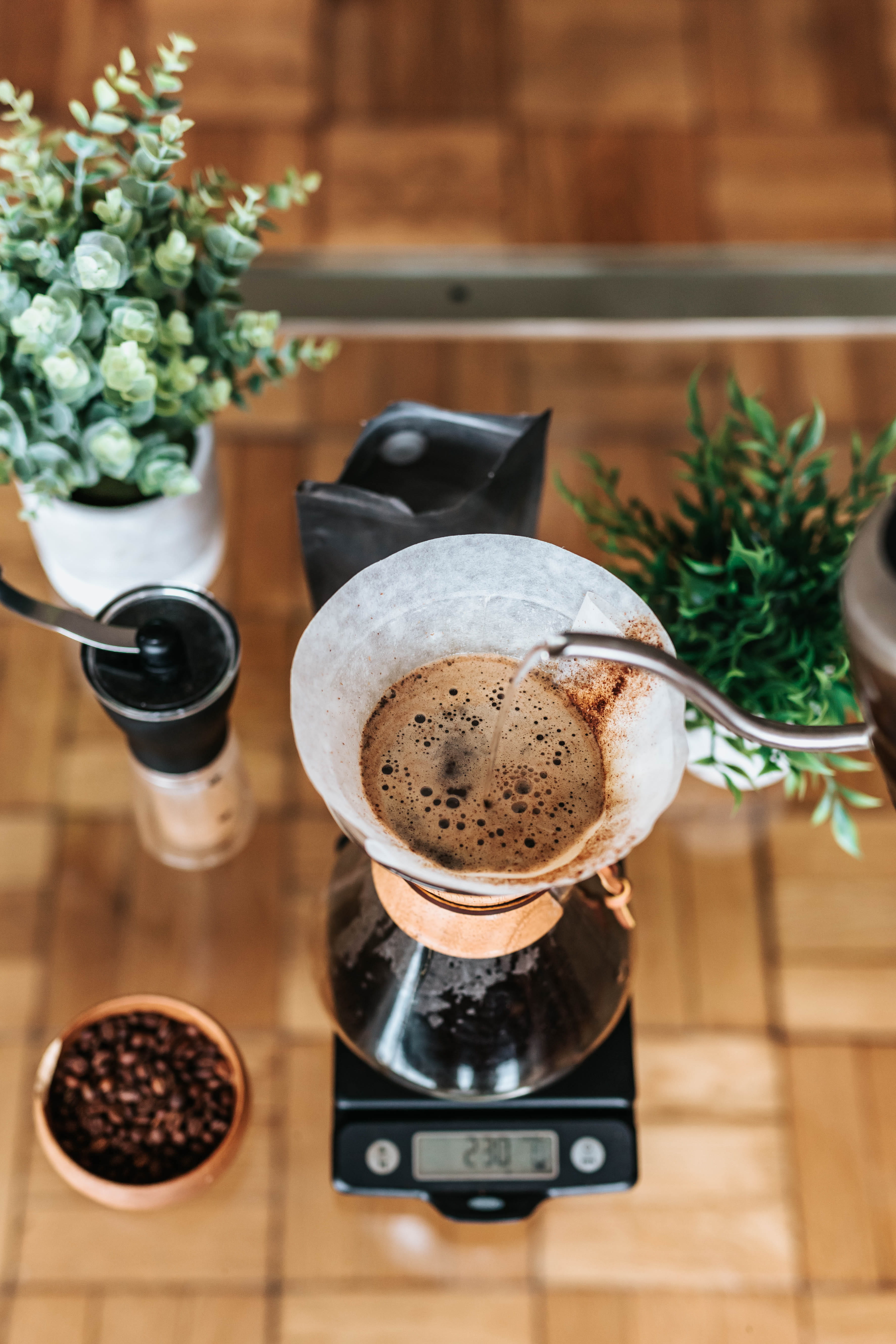 food and drink, high angle view, crockery, no people, coffee shop, cup, black, drink, table, houseplant, 5K, coffee - drink, light, vibrant, grinder, indoors, Phone HD Wallpaper