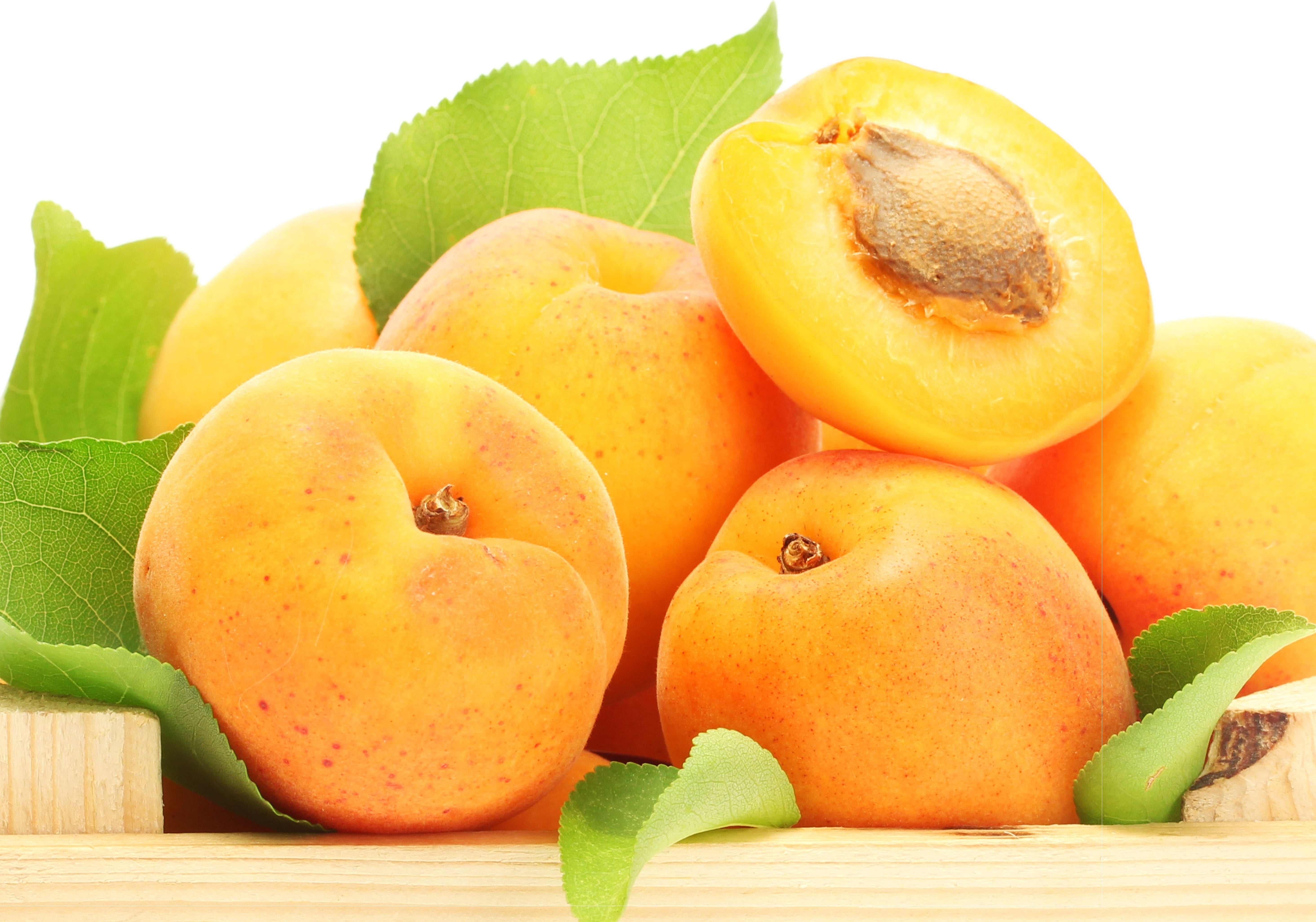 studio shot, plant part, gourmet, food, group of Objects, isolated, apricot, backgrounds, round, sweet Food, close-up, still life, dessert, agriculture, HD Wallpaper