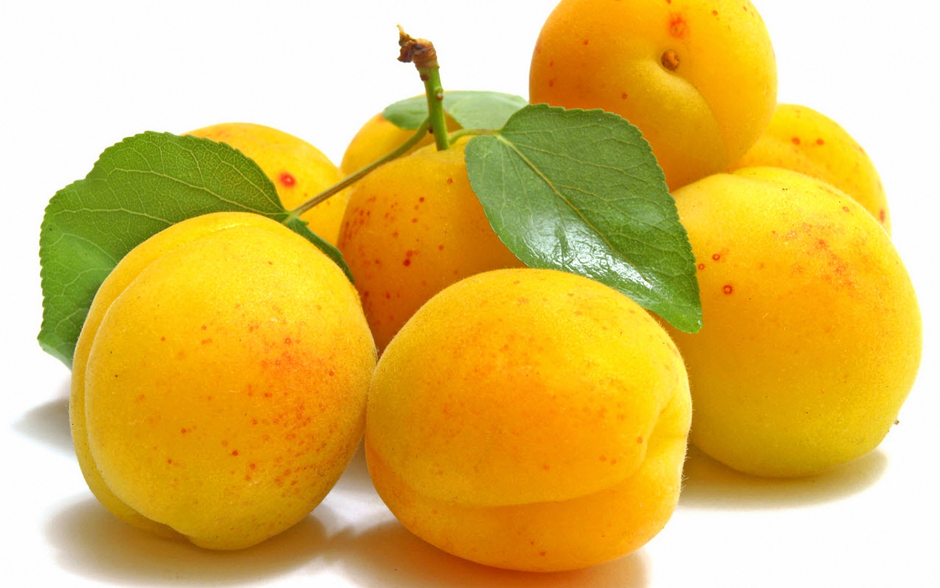 apricots, apricot, delicious, fruit, 1080P, HD Wallpaper