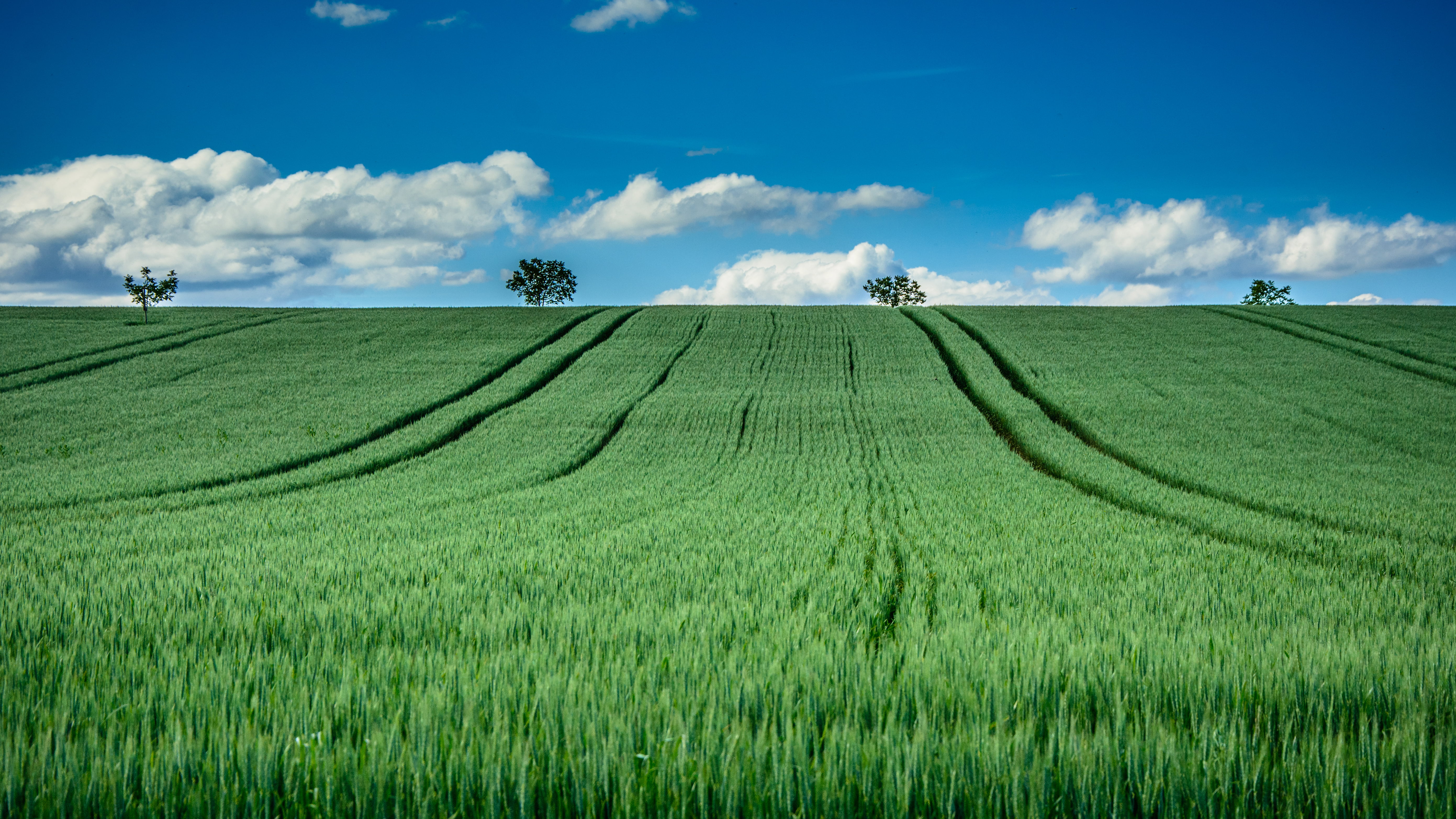 land, meadow, blue sky, Switzerland, summer, agriculture, outdoors, nature, cloudy, green, boarder, France, plant, blue, rural Scene, landscapes, grass, HD Wallpaper