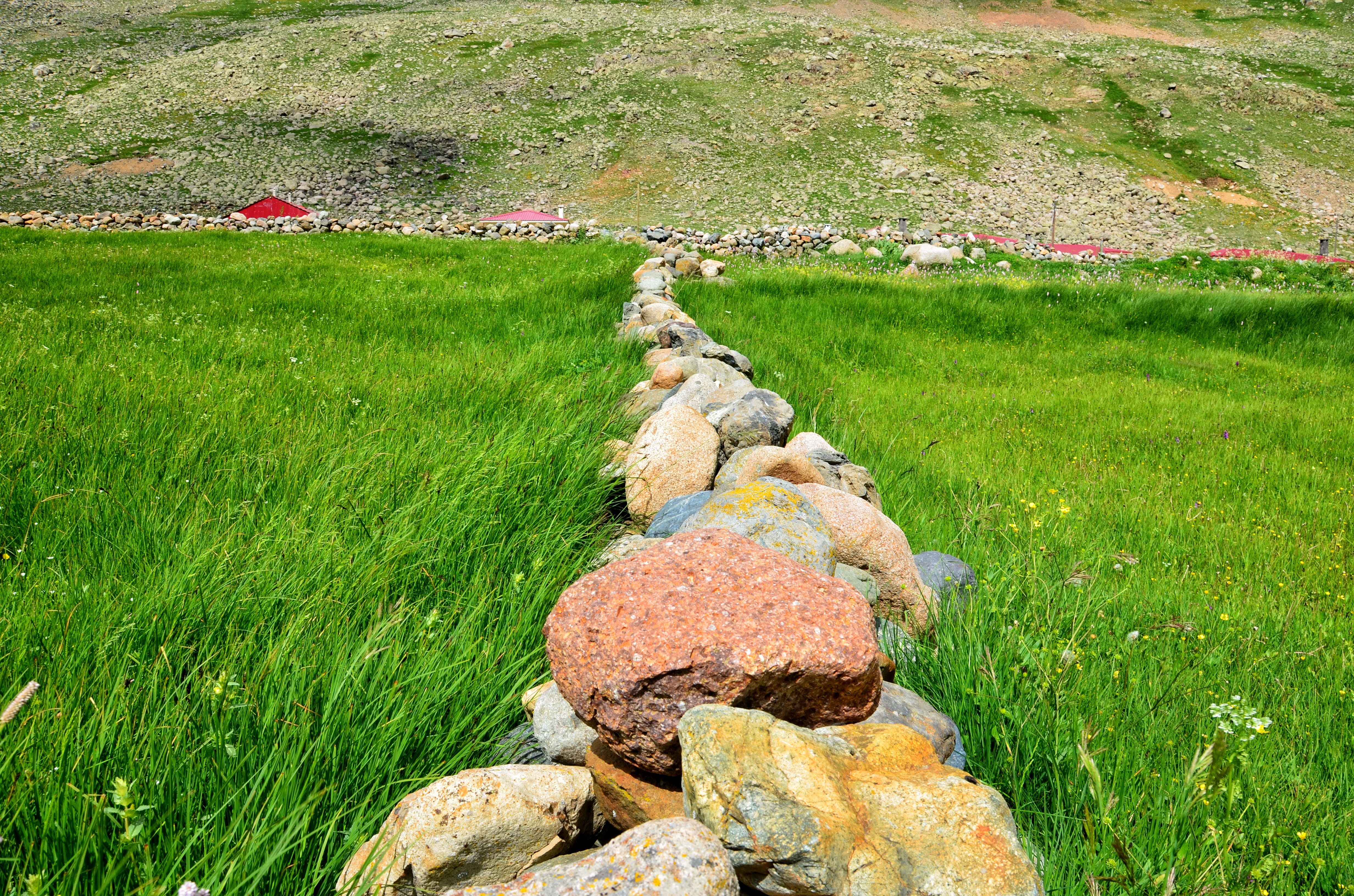 eastern black sea, grass, peace, solid, village landscape, rock, season, tranquility, tranquil scene, environment, green, green field, outdoors, great, HD Wallpaper