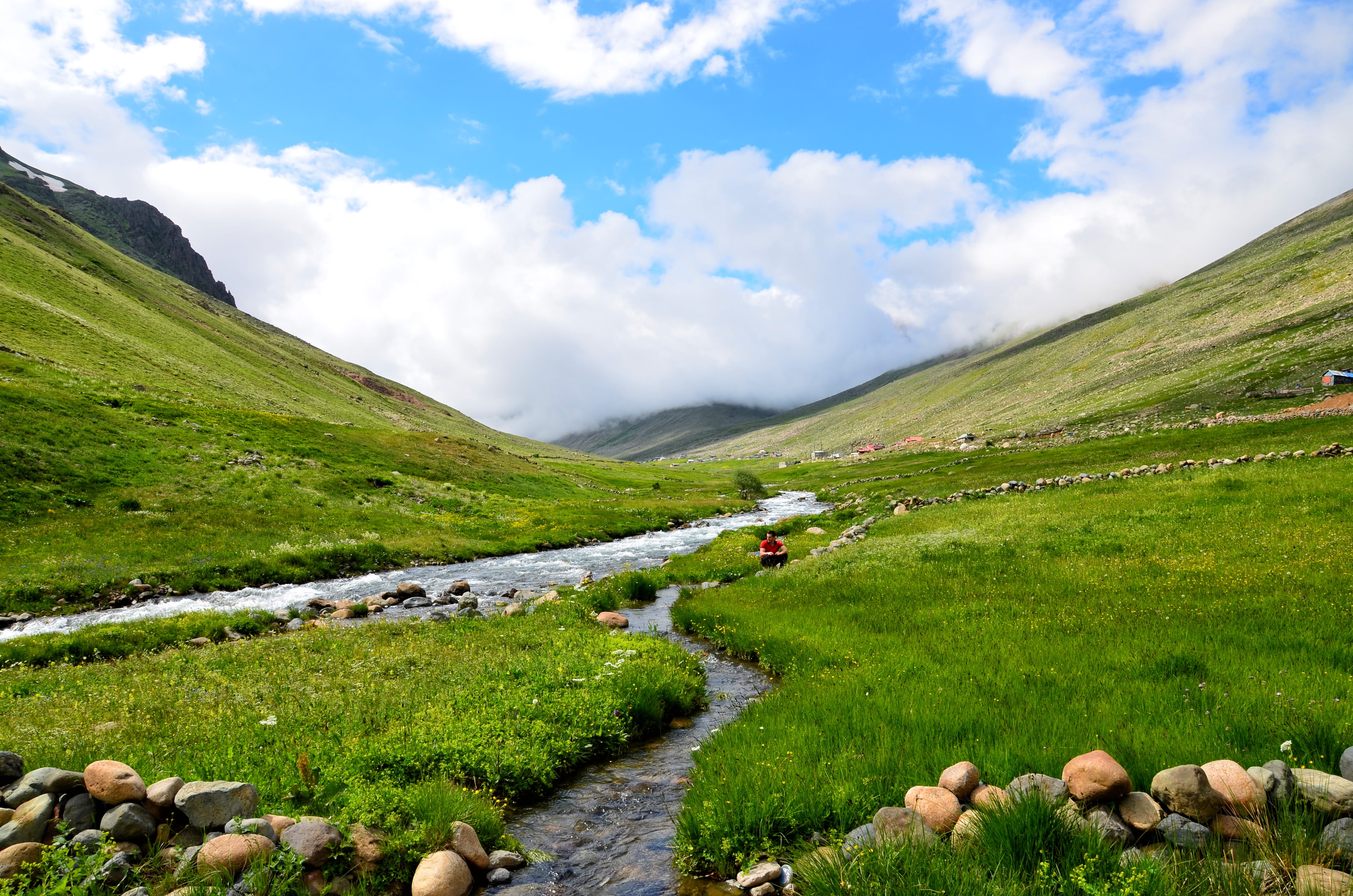 remote, Ispir, plant, Turkey, season, tranquility, non-urban scene, green color, yellow flower, high, current season, mountains, outdoor, landscape, mountain range, HD Wallpaper