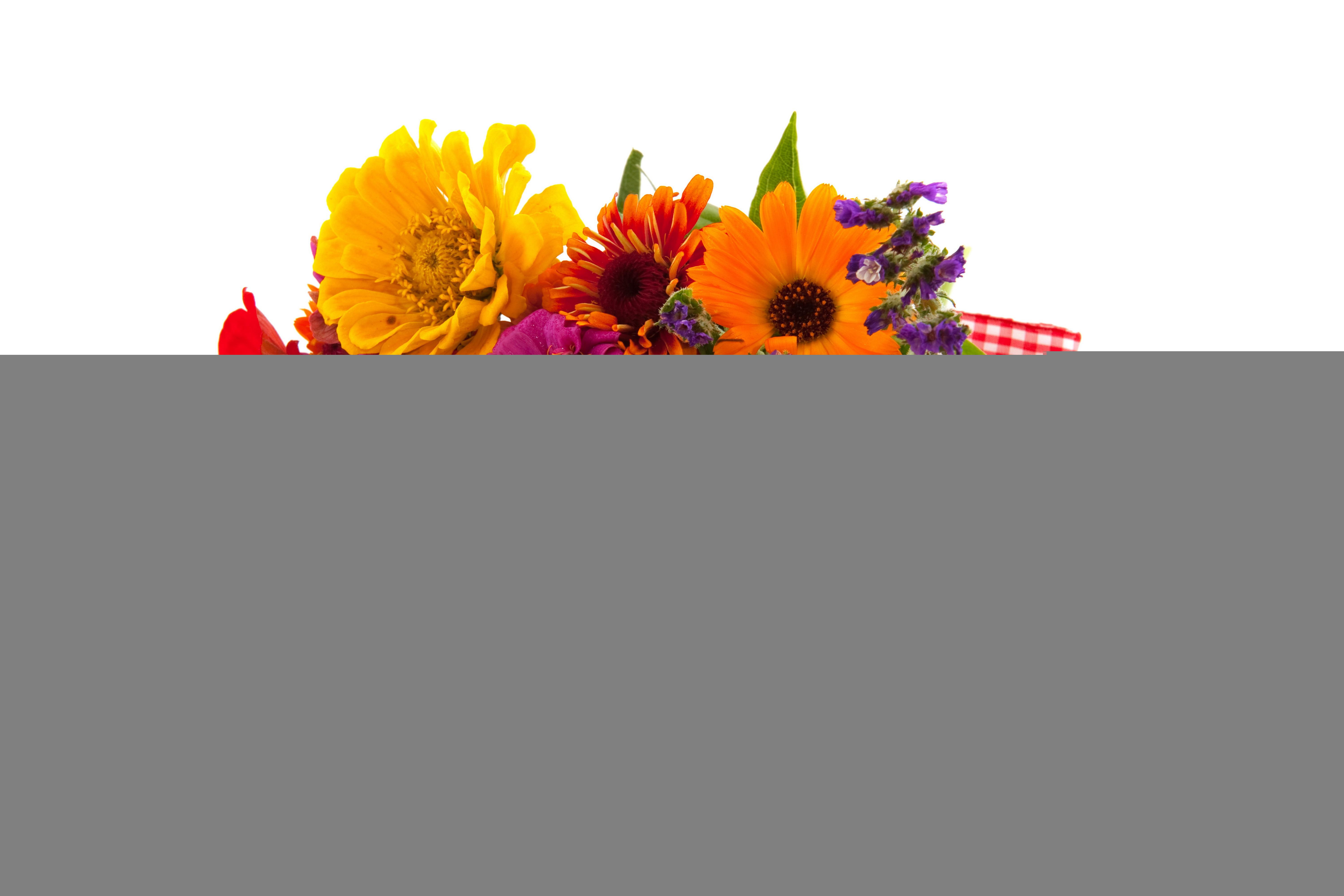 flowers, 5K, zinnia, gerberas, bouquets, HD Wallpaper