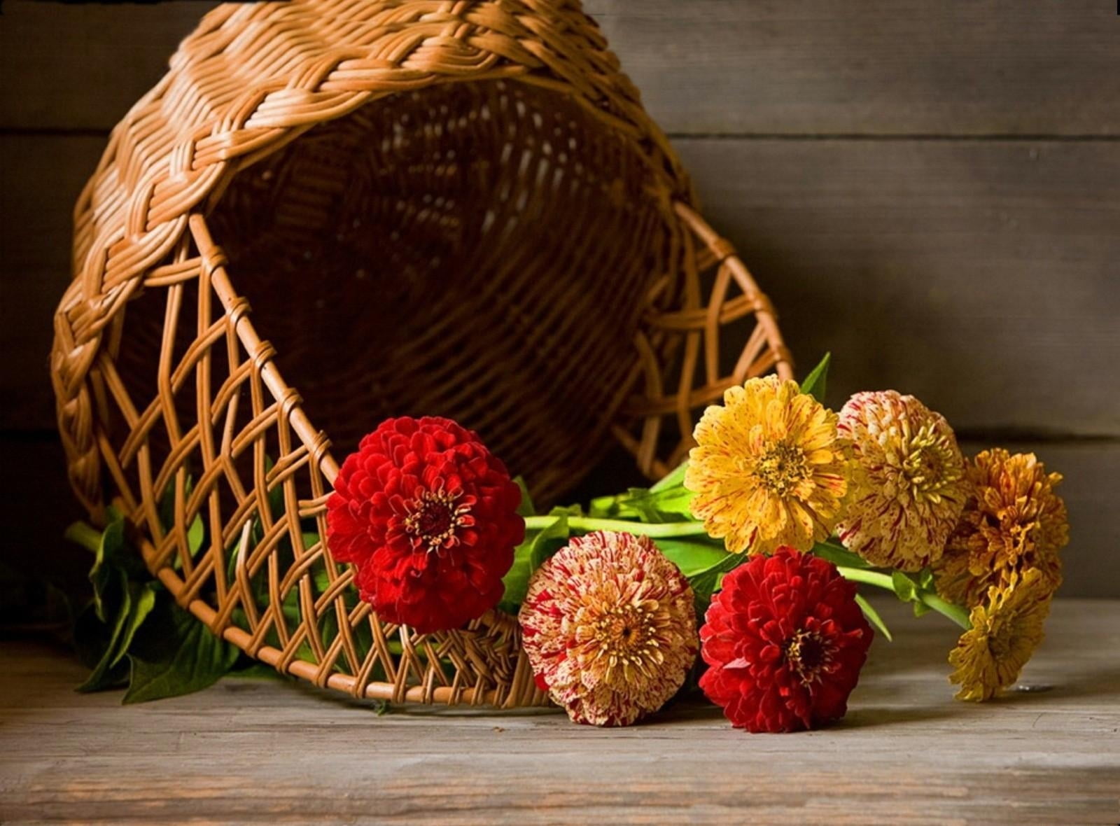 season, lie, petal, gift, healthy eating, wood - Material, yellow, food and drink, holiday, autumn, celebration, petaled, 720P, red, indoors, plant, ornate, HD Wallpaper