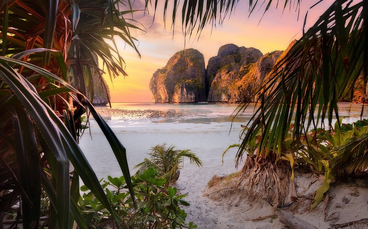 horizon over water, tranquil scene, island, 480P, Philippines, sunset, tree, leaves, outdoors, palm tree, shrubs, beach, beauty in nature, tranquility, HD Wallpaper