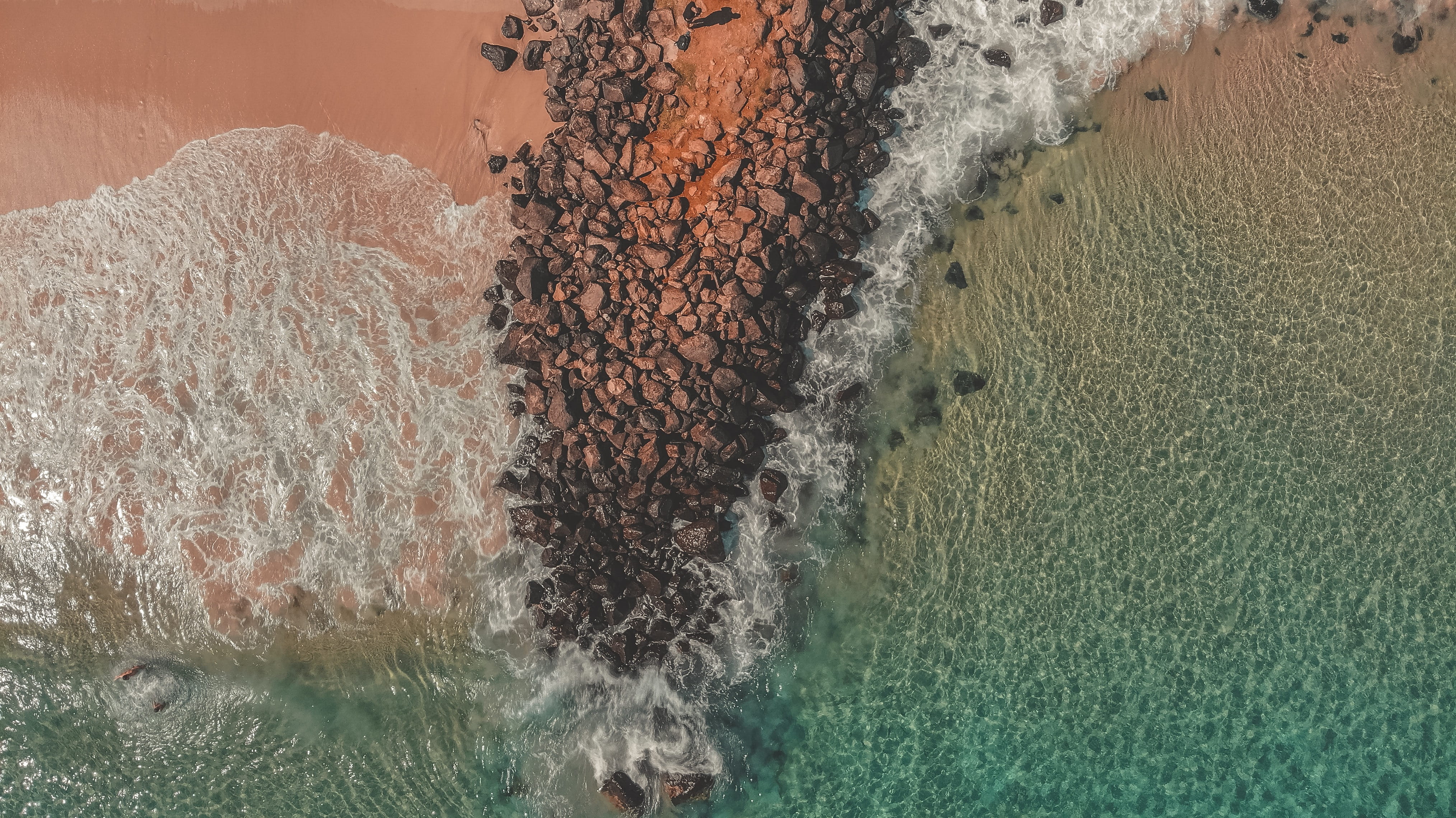animal, sea, landscape, splashing, nature, crashing, sport, coast, beauty in nature, wave, paradise, high angle view, drone, byron bay, sand, motion, aquatic sport, HD Wallpaper
