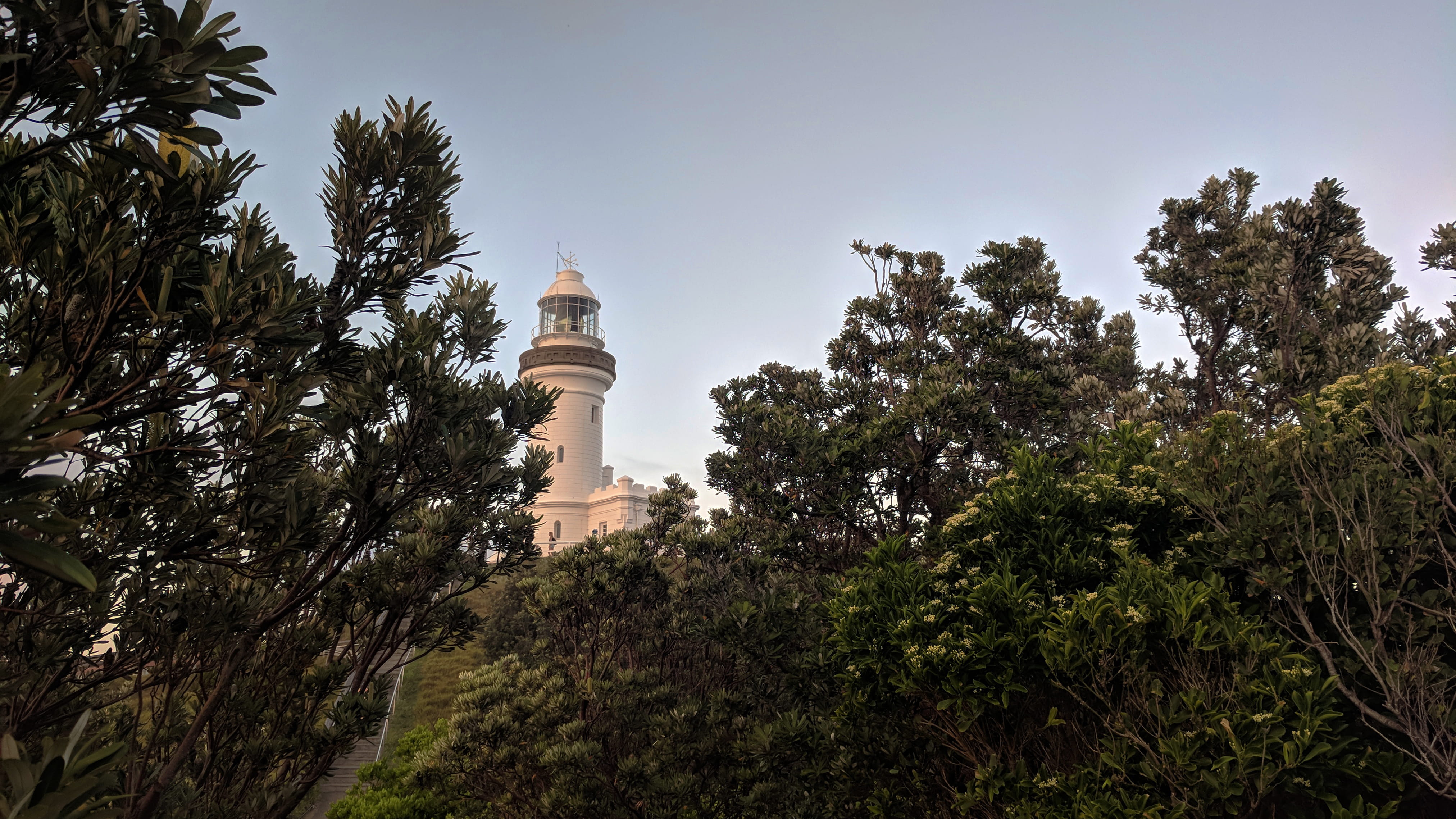 no people, tree, travel, nature, building, architecture, sky, 19 brownell dr, low angle view, outdoors, australia, history, building exterior, built structure, HD Wallpaper
