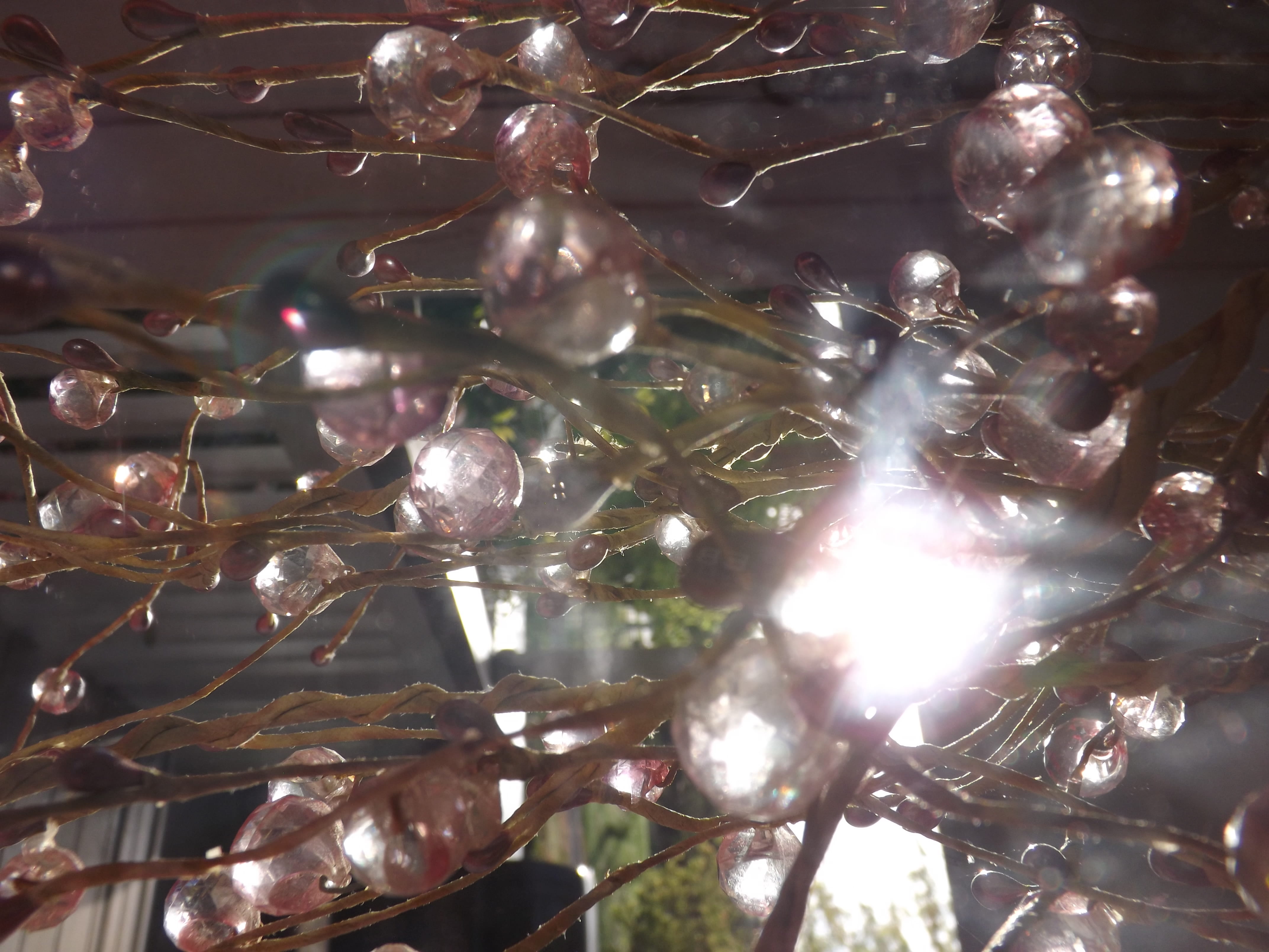 christmas, low angle view, dreamy, enchanting, branch, fragility, vulnerability, tree, day, plant, growth, sunlight, outdoors, pink, lens flare, fairy, HD Wallpaper