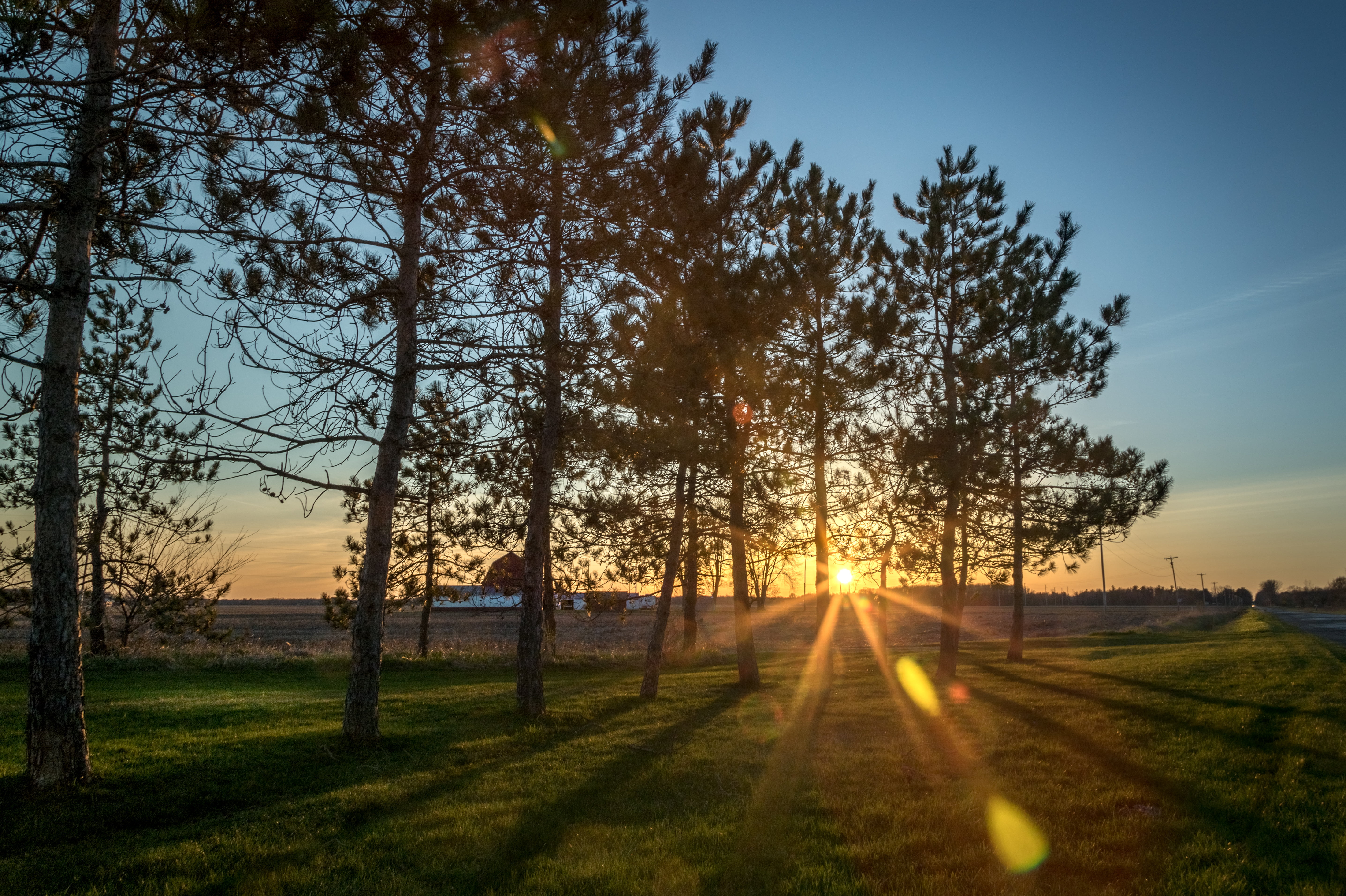 landscape, sunlight, rural Scene, summer, warm, forest, photography, mid-michigan, outdoors, nature, roadside, pines, green, sun, sunrise - Dawn, camp, HD Wallpaper