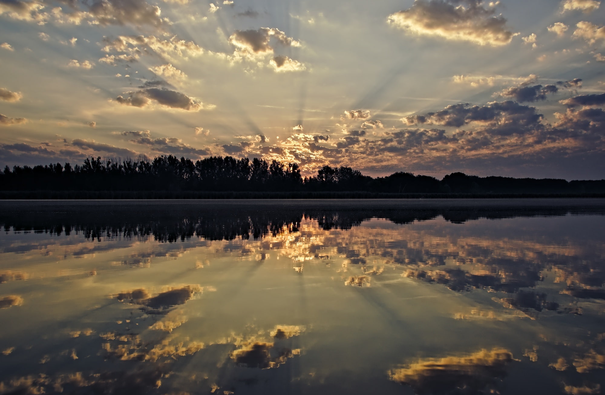 tree, Sunrise, reflection lake, beauty in nature, sunset, outdoors, scenics - nature, cloud - sky, Nature, no people, non-urban scene, Reflection, Sun and Sky, HD Wallpaper