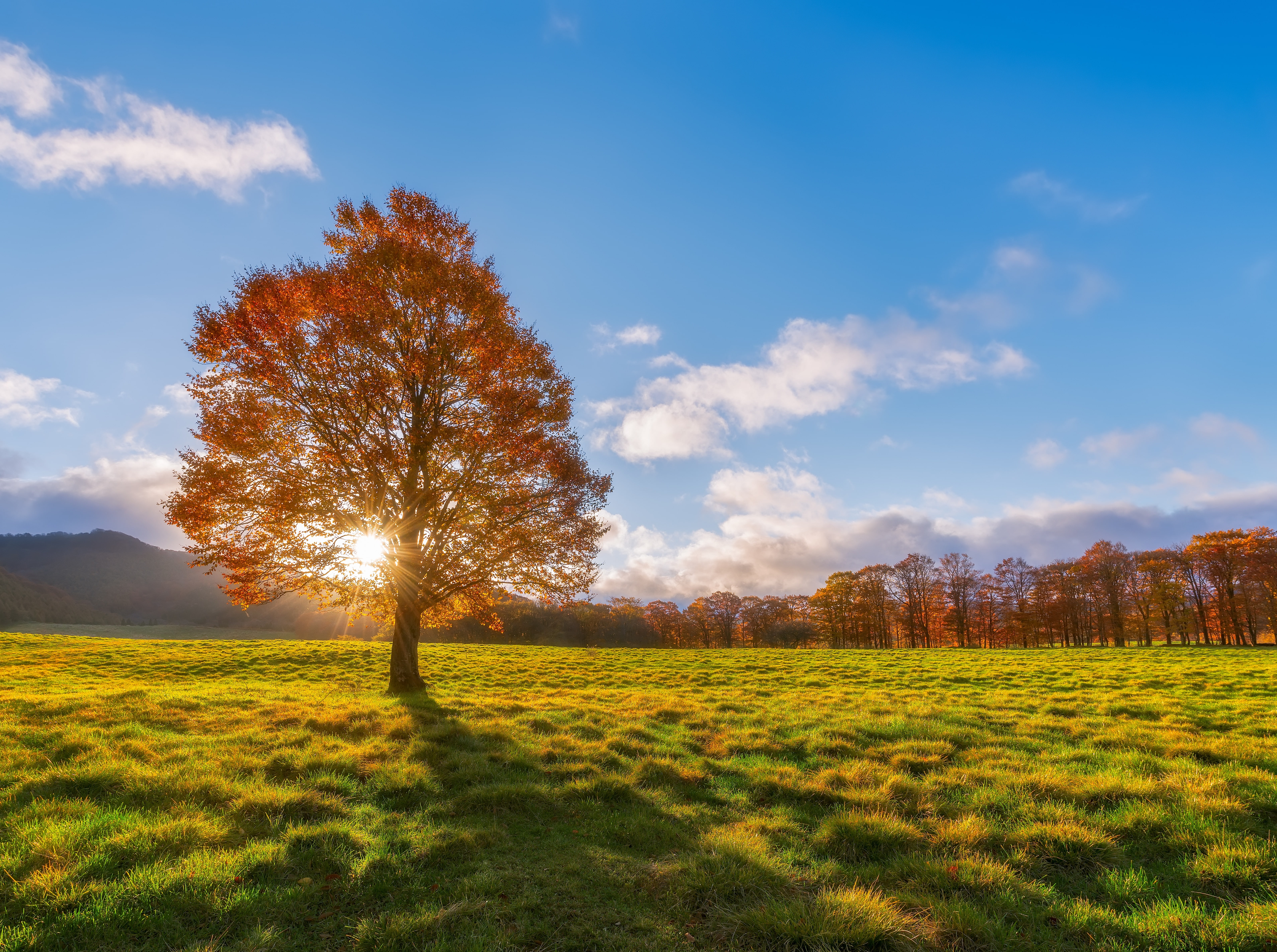 no people, Sunrays, plant, orange, day, cloud - sky, Landscape, green color, takkomachi, scenics - nature, sannohedistrict, Clouds, Autumn, Grass, Seasons, HD Wallpaper