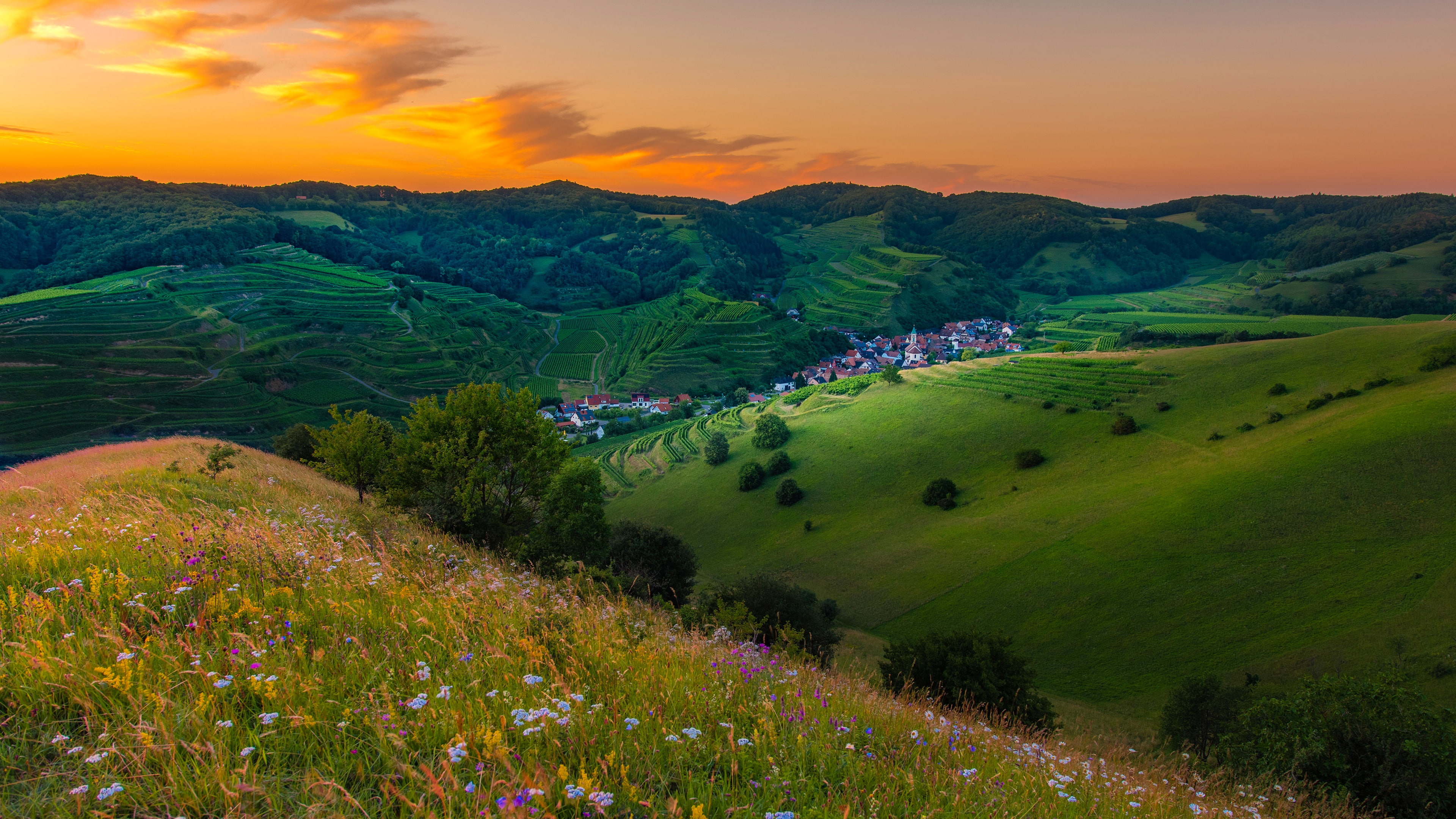 nature, hills, landscape, 4K, flowers, HD Wallpaper