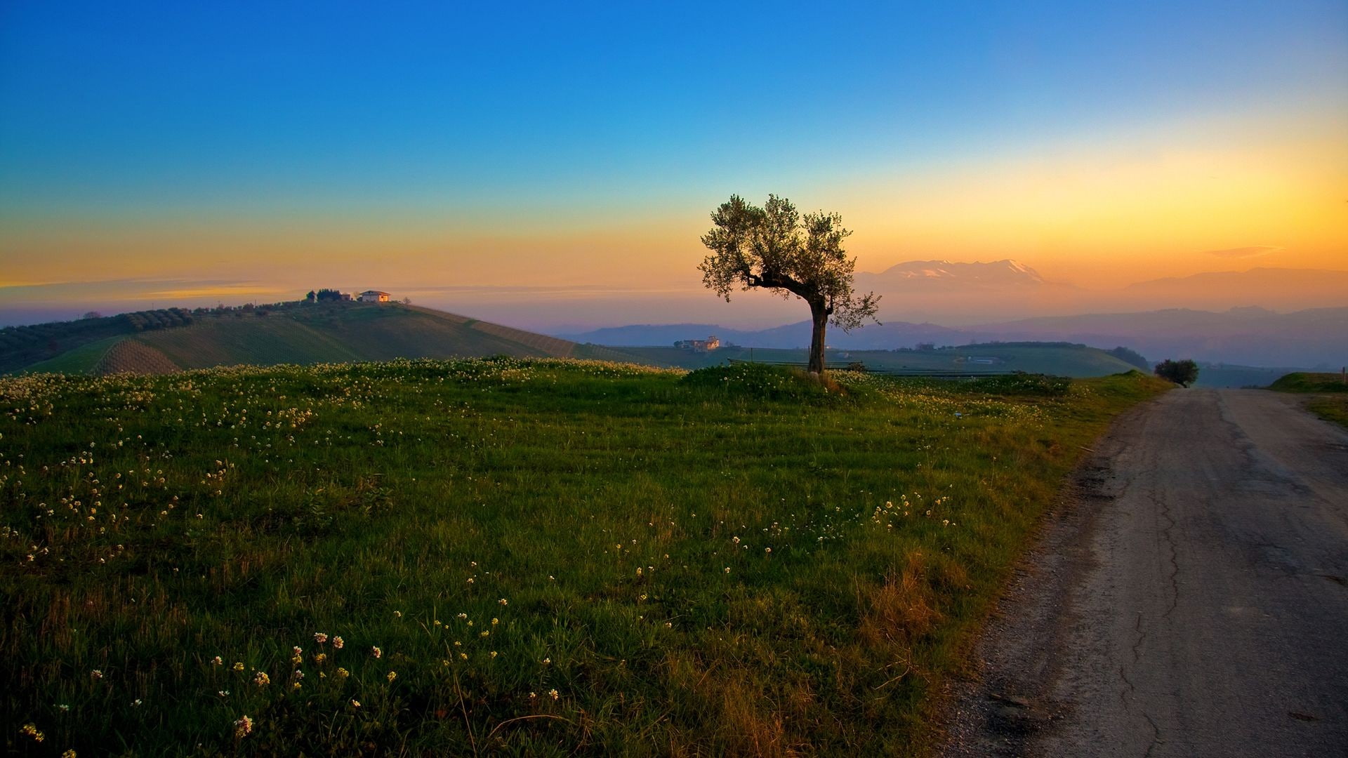 nature, grass, field, sky, flowers, trees, landscape, road, sunlight, snowy peak, 1080P, house, mountains, hills, HD Wallpaper