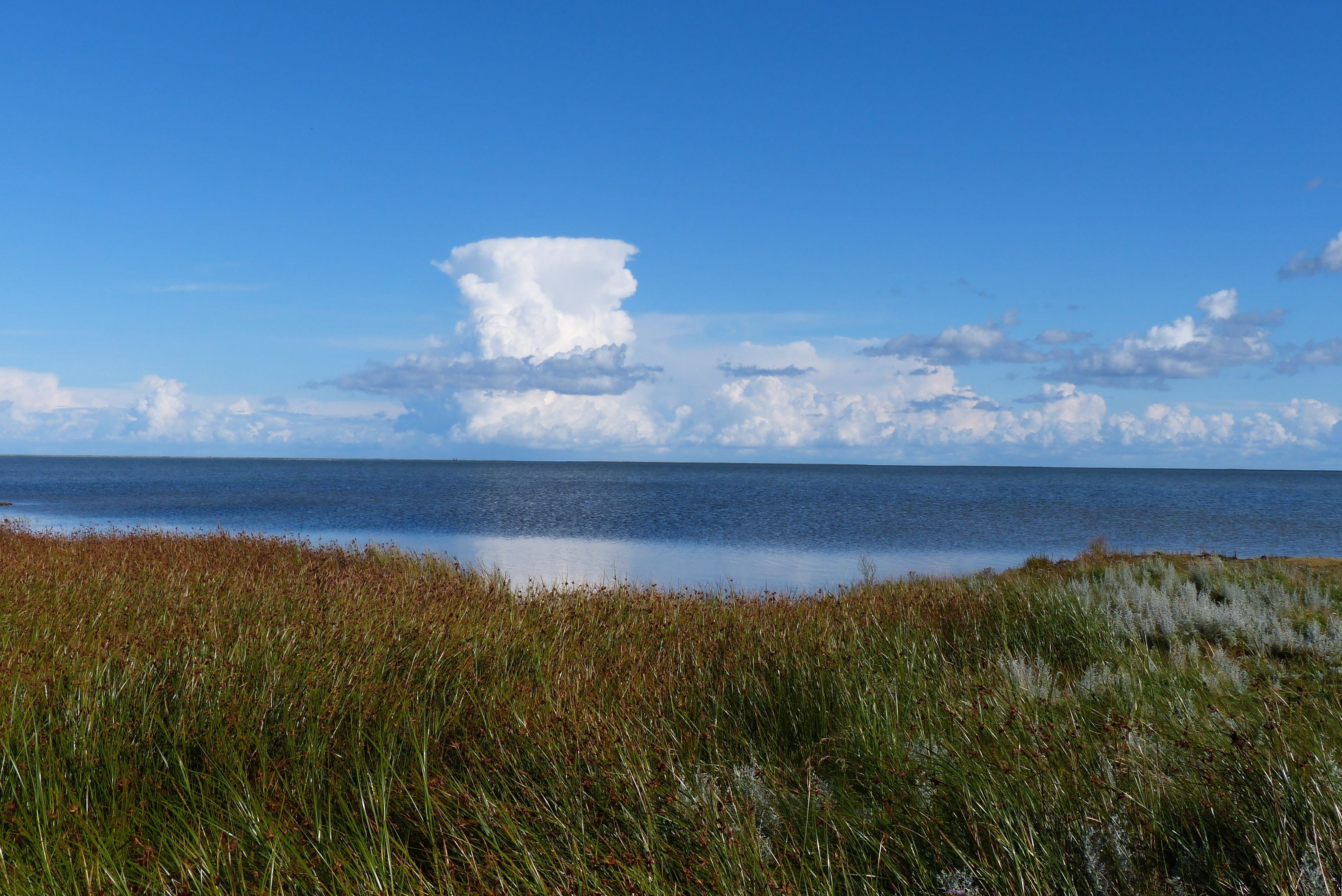 non-urban scene, horizon, tranquility, day, scenics - nature, island, scenics, clouds, north, beach, landscape, denmark, cloud - sky, baltic sea, summer, HD Wallpaper