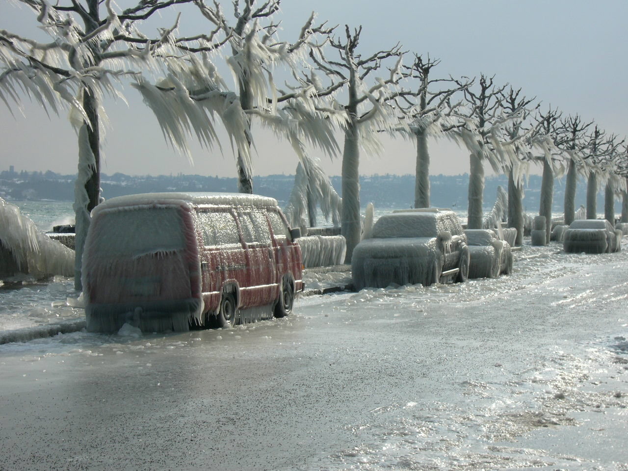 vehicle, field, cold temperature, day, car, frozen, Switzerland, mode of transportation, outdoors, winter, trees, sky, plant, tree, ice, 720P, snow, in a row, HD Wallpaper