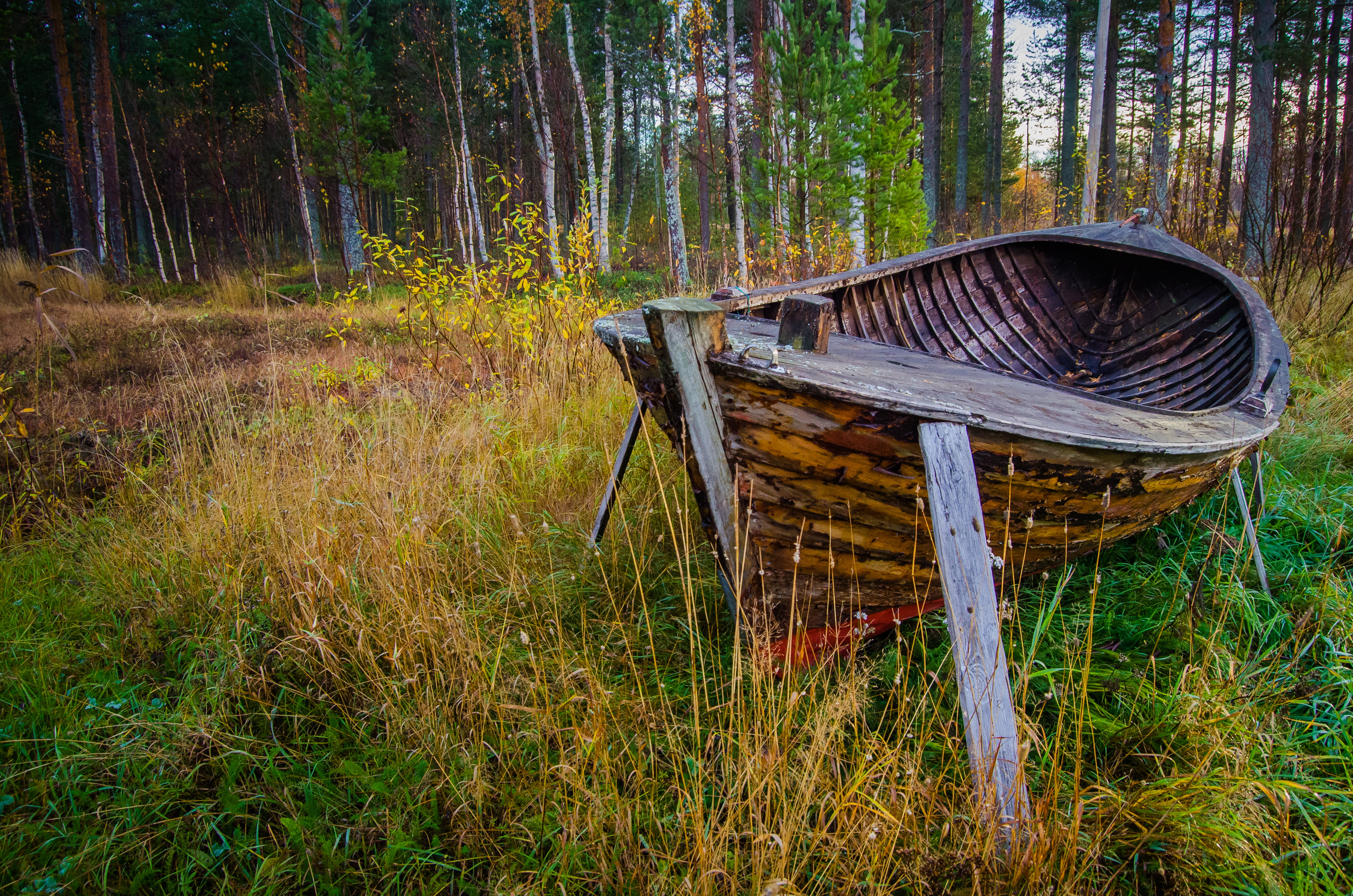4K, field, nature, boat, wooden, wood - Material, grass field, green grass, outdoors, forest, tree, cool, brown, green, grass, hailuoto, oulu, uncool, HD Wallpaper