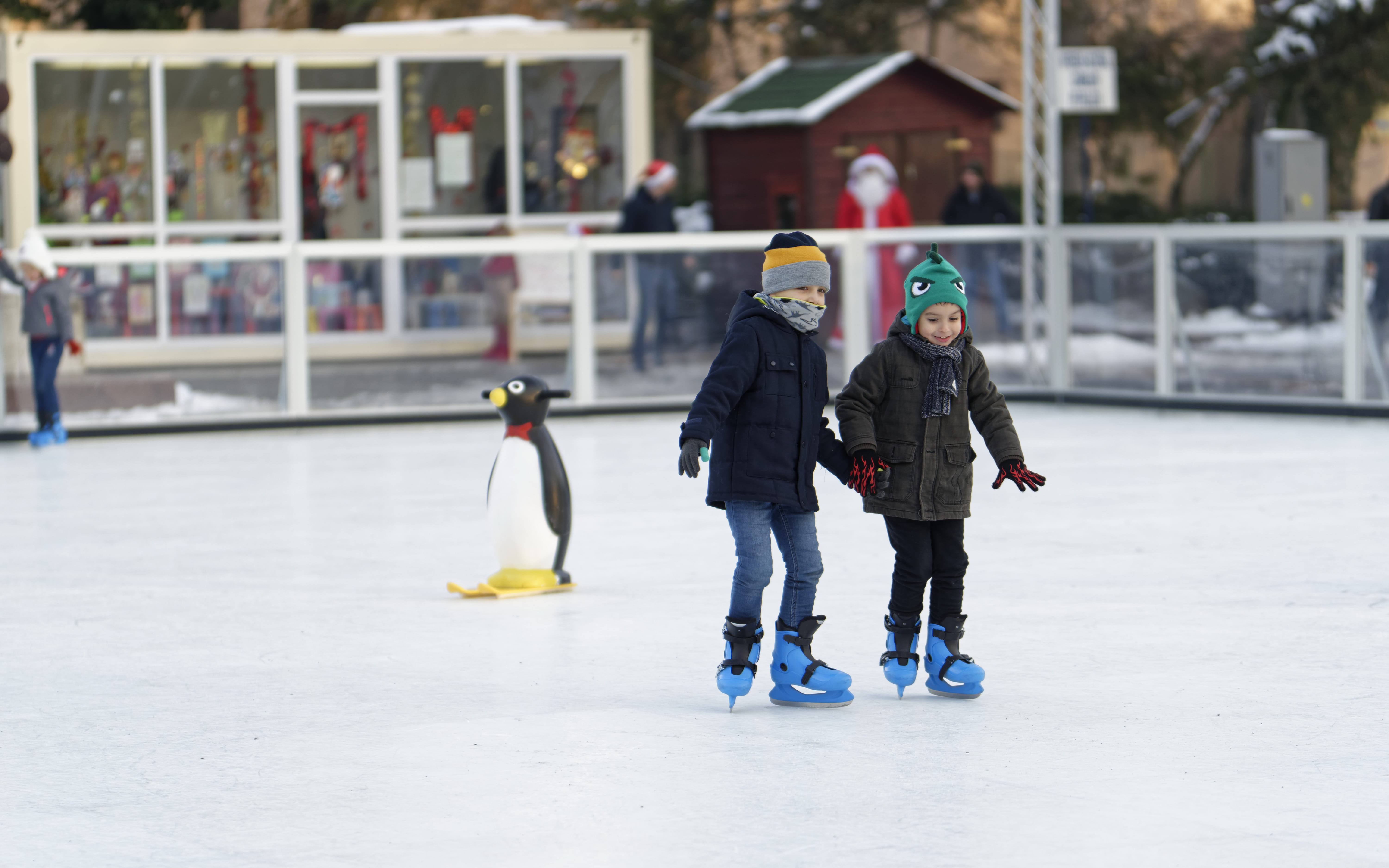 santa claus, field, fun, women, sport, enjoyment, men, winter sports, girl, siblings, penguin, young, cold, two people, inside, child, 5K, ice-skating, HD Wallpaper