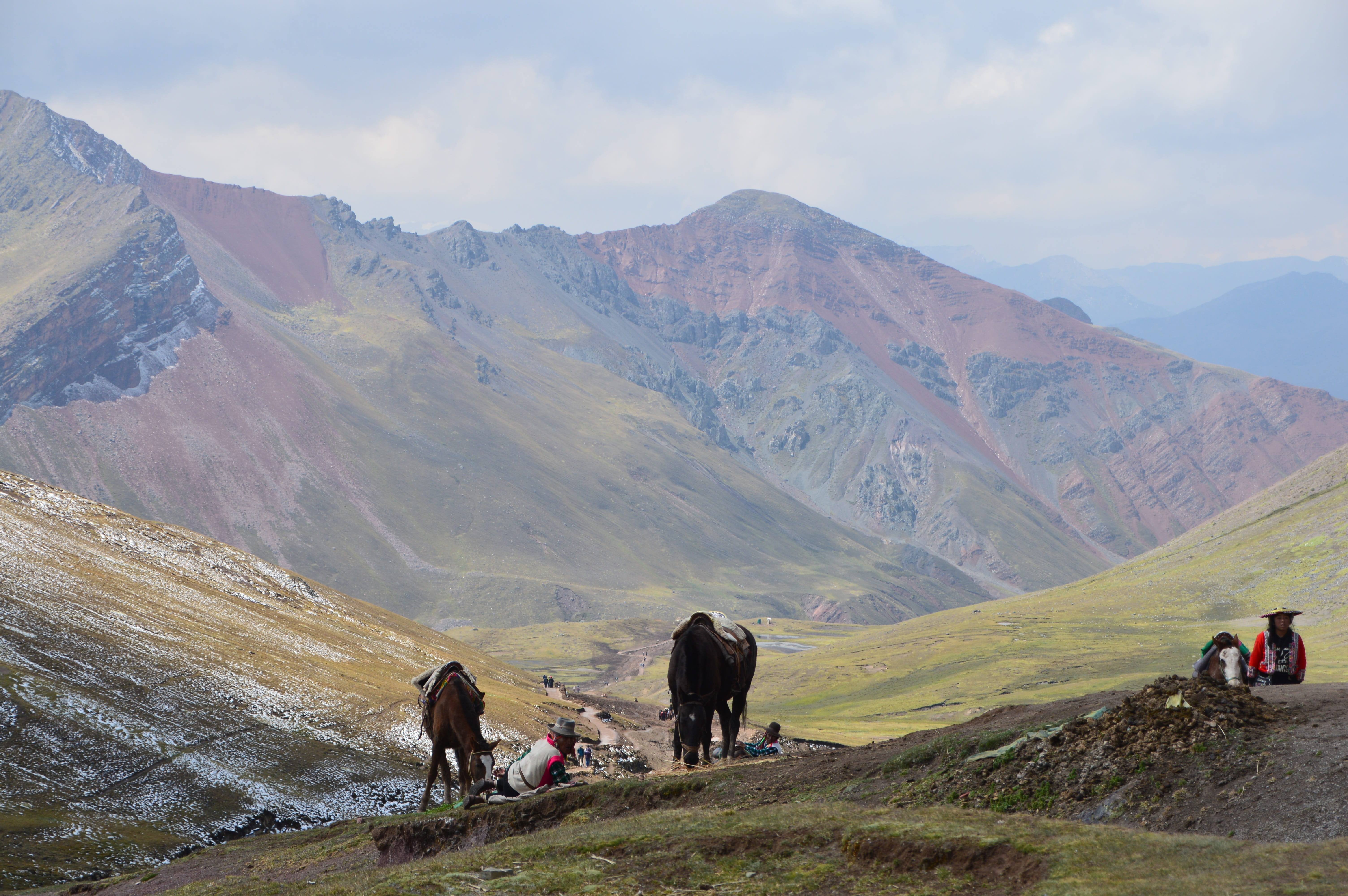 group of animals, pets, grass, inca, horse, domestic animals, atmosphere, domestic, mammal, scene, people, beauty in nature, tranquil scene, hiking, view, HD Wallpaper