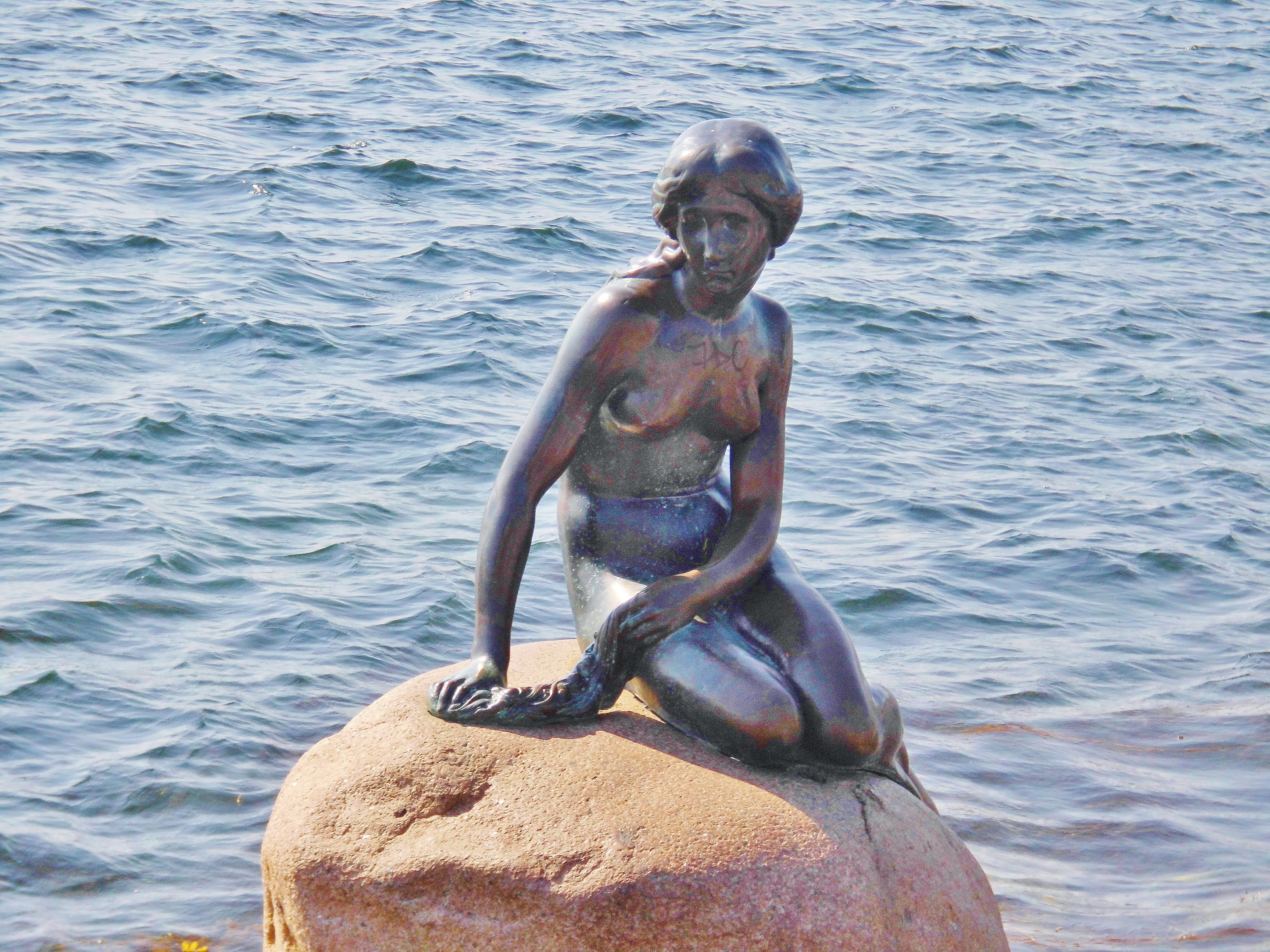 rock - object, tourist attraction, little mermaid, water, art, 5K, outdoors, smiling, shirtless, copenhagen, animal themes, day, animal wildlife, nature, HD Wallpaper