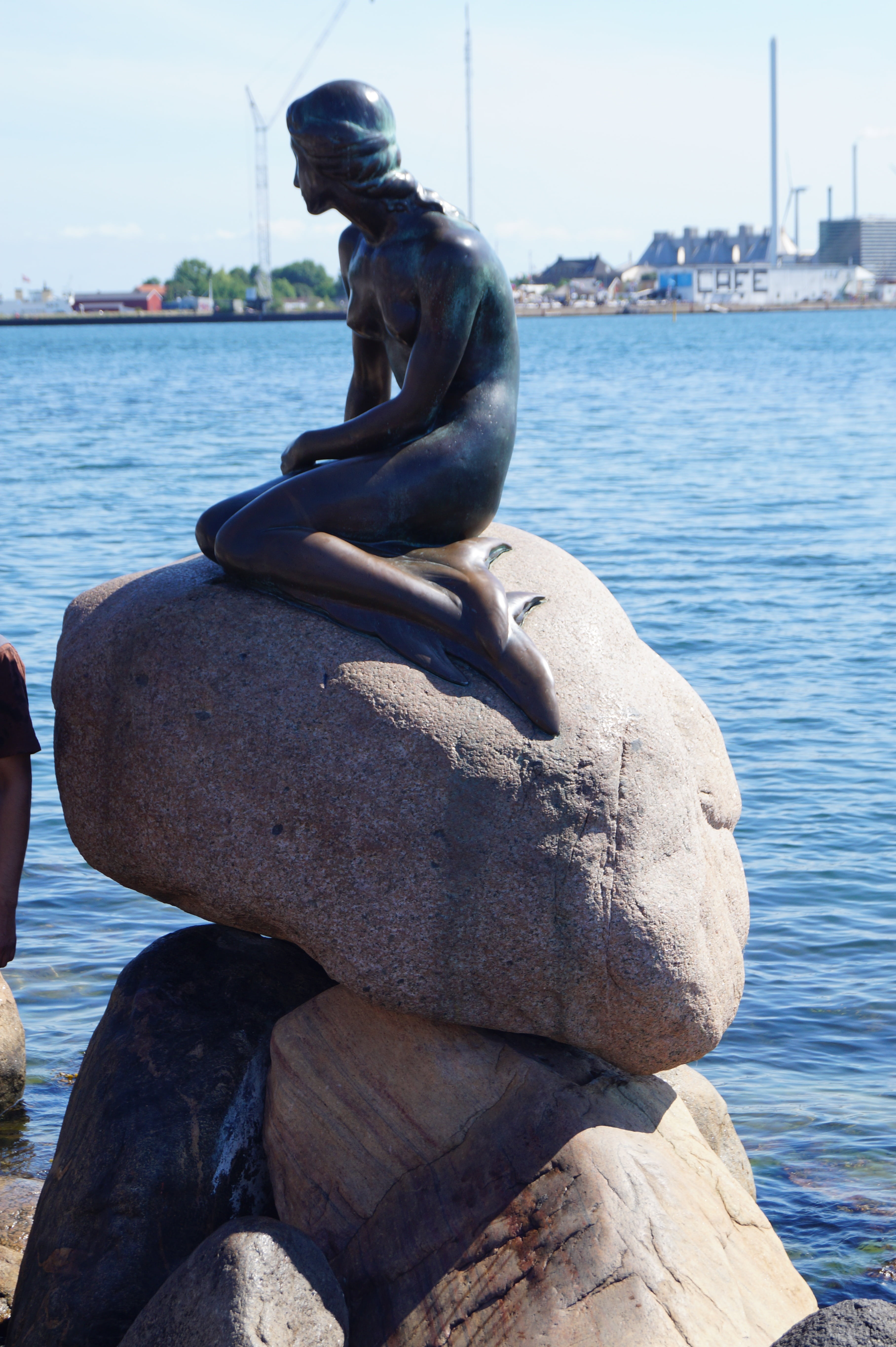 sculpture, animals in the wild, famous, mermaid, stone, bronze, solid, rock, tourism, sea, landmark, built structure, denmark, nordic, relaxation, perching, Phone HD Wallpaper