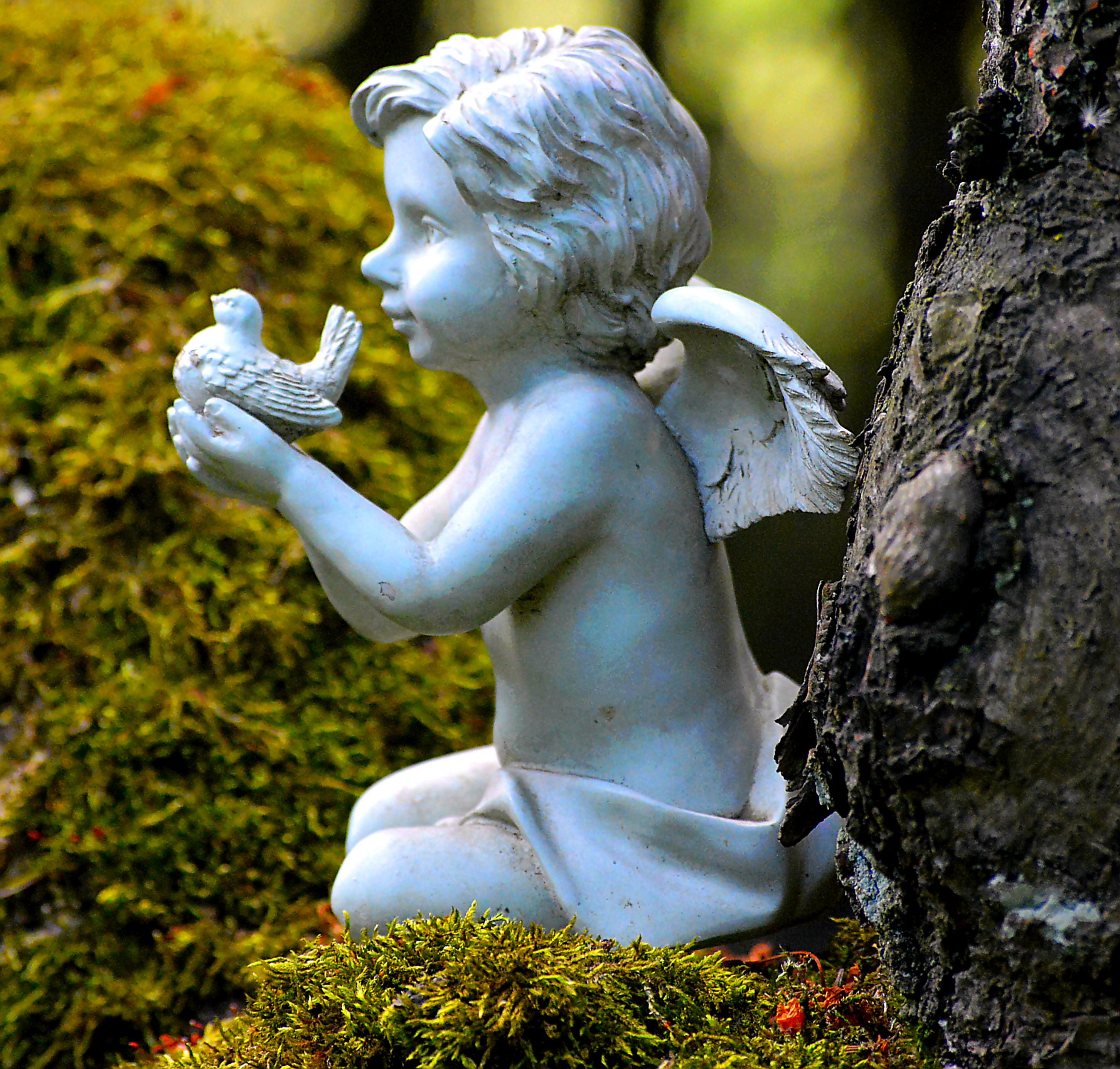 park - man made space, focus on foreground, close-up, guardian angel, representation, no people, garden decoration, male likeness, nature, outdoors, growth, HD Wallpaper