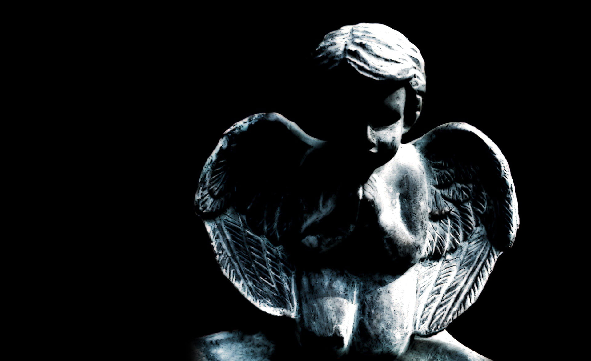 Angel, animal head, studio shot, indoors, Stone, black background, art and craft, vertebrate, domestic, Little, close-up, 1080P, one animal, digital composite, HD Wallpaper