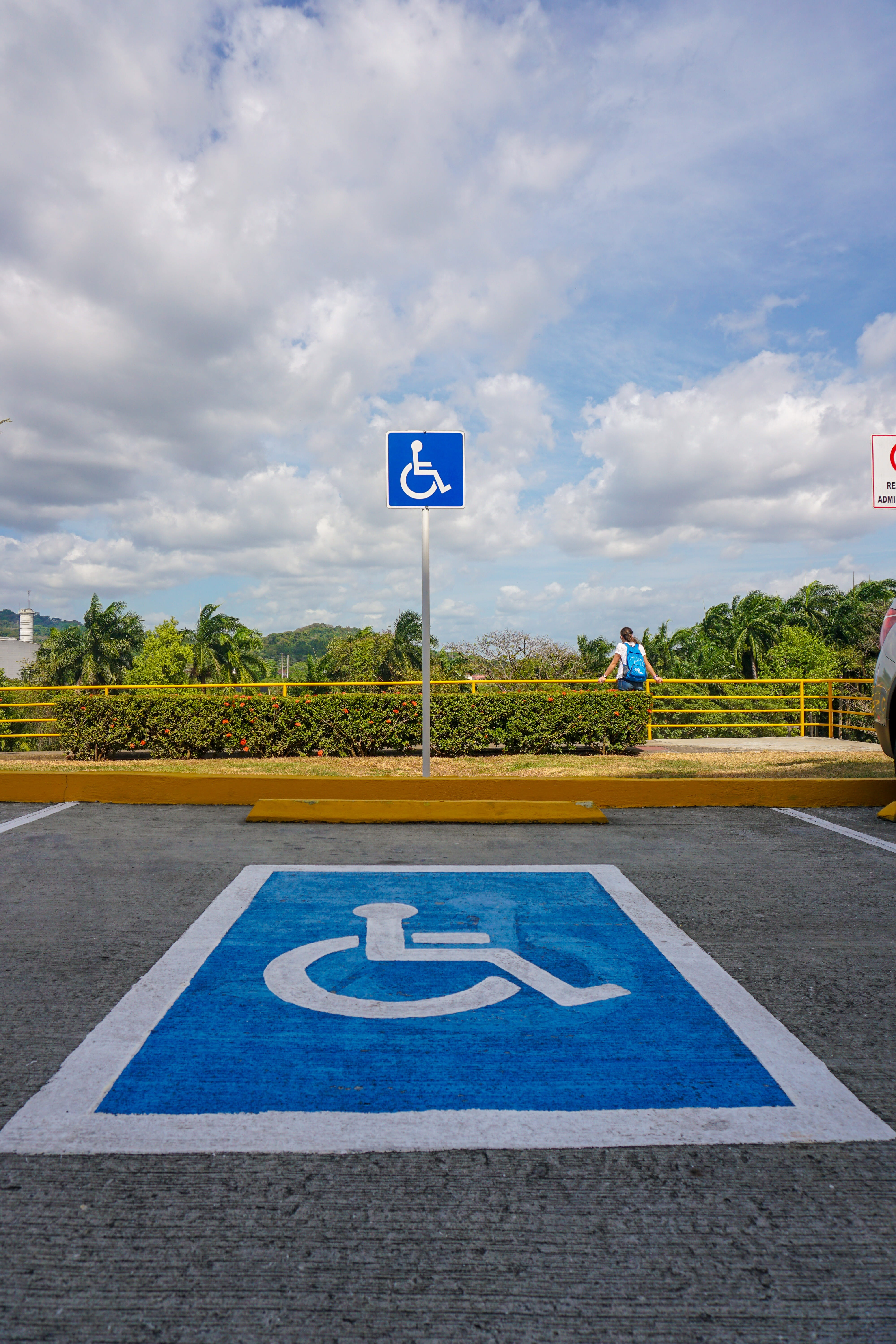 disabled, the disease, tree, information sign, disabled sign, cloud - sky, no people, differing abilities, information, sky, road sign, plant, communication, Phone HD Wallpaper