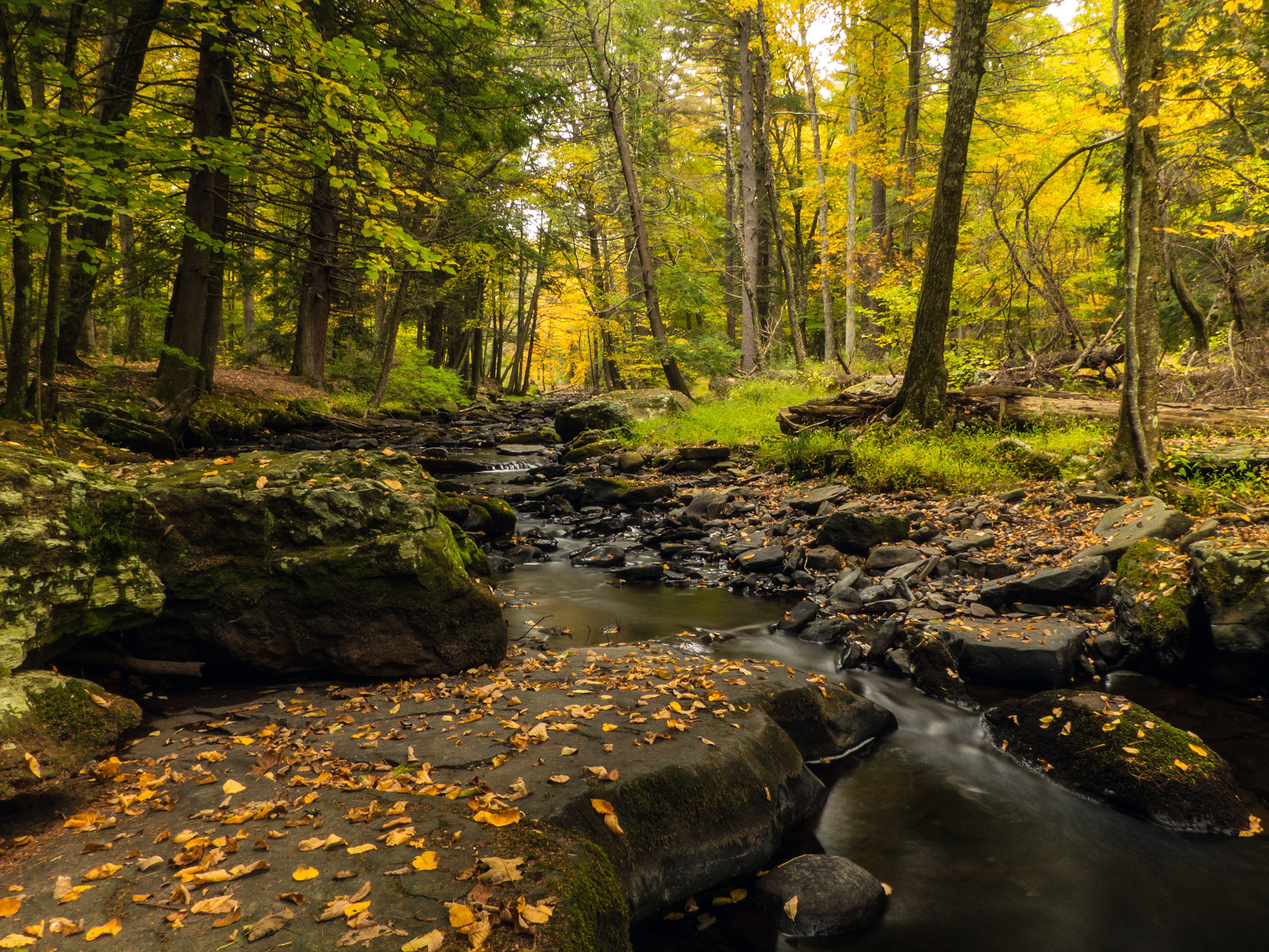 change, autumn, delaware township, nature, childs, george w childs recreation site, waterfall images, pa, 2K, beauty, images of waterfalls, growth, natural, HD Wallpaper