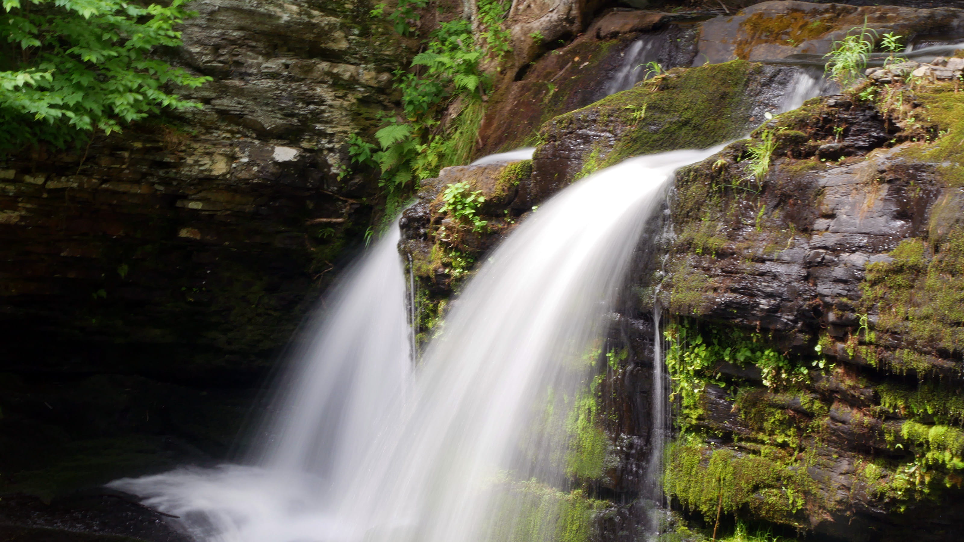 fulmer, outdoors, george w childs recreation site, site, fall colors, long exposure, fulmer falls, dingmans, high, delaware water gap, tree, stream flow, HD Wallpaper