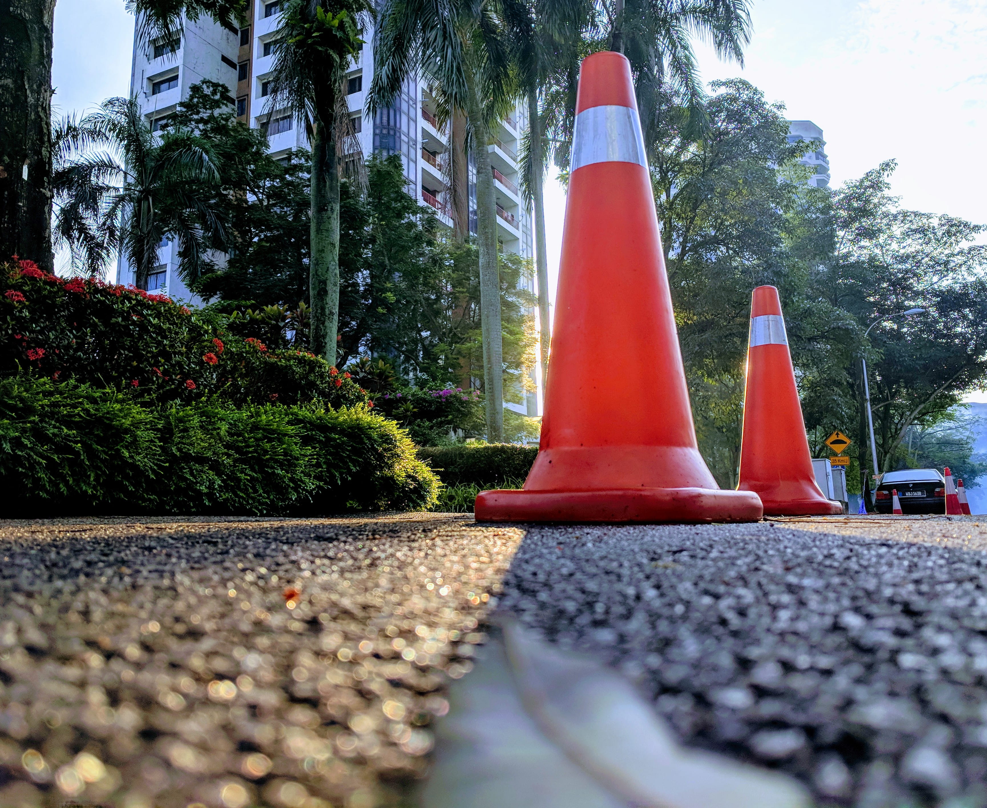 safety, protection, rays, green, communication, transportation, day, environment, nature, plant, sunlight, sunshine, red, 2K, outdoors, cone, close-up, HD Wallpaper