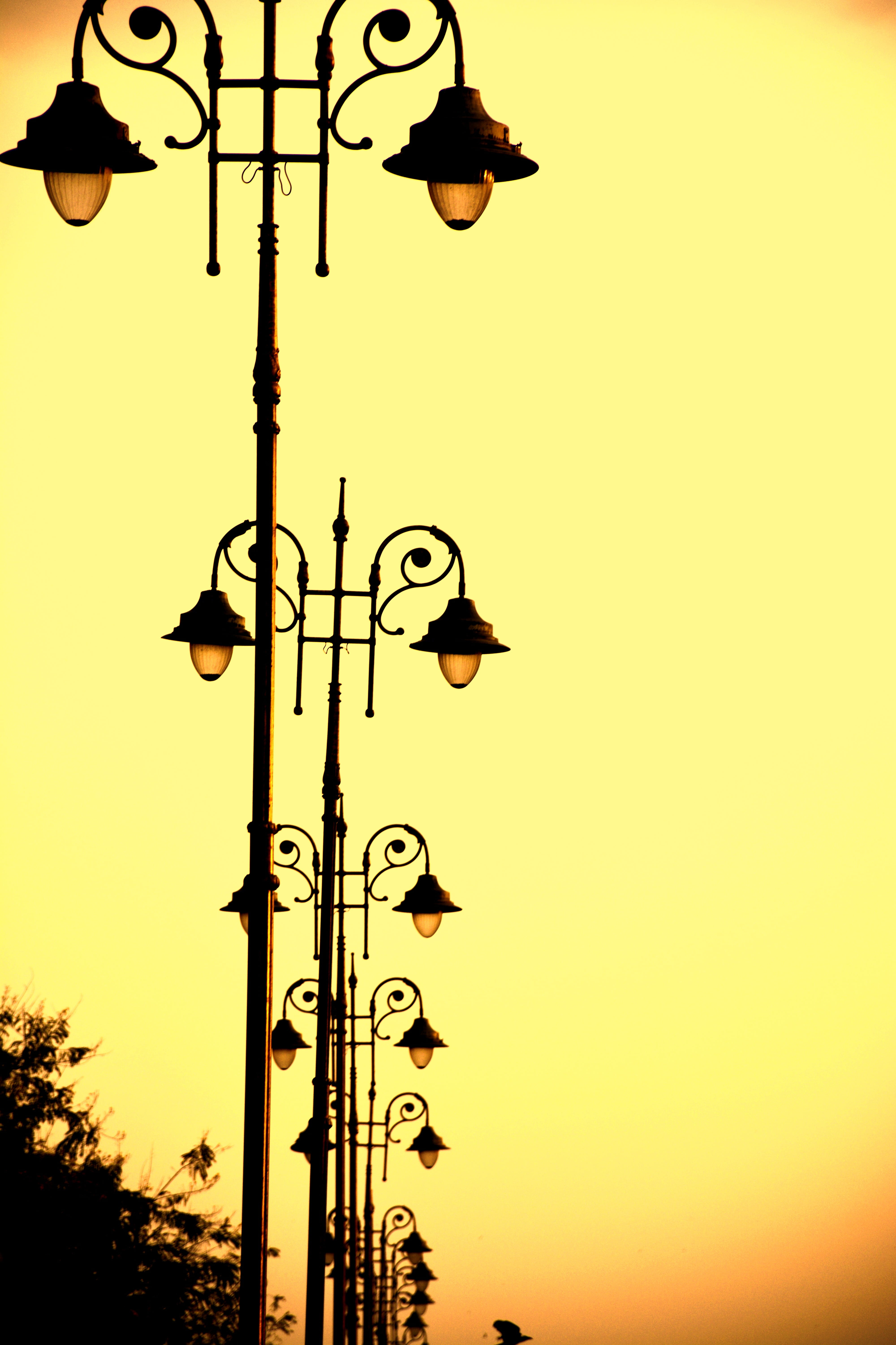 technology, weather vane, direction, sky, pathway, nature, no people, night, 5K, silhouette, electricity, street light, plant, tree, street, highway, landscape, Phone HD Wallpaper