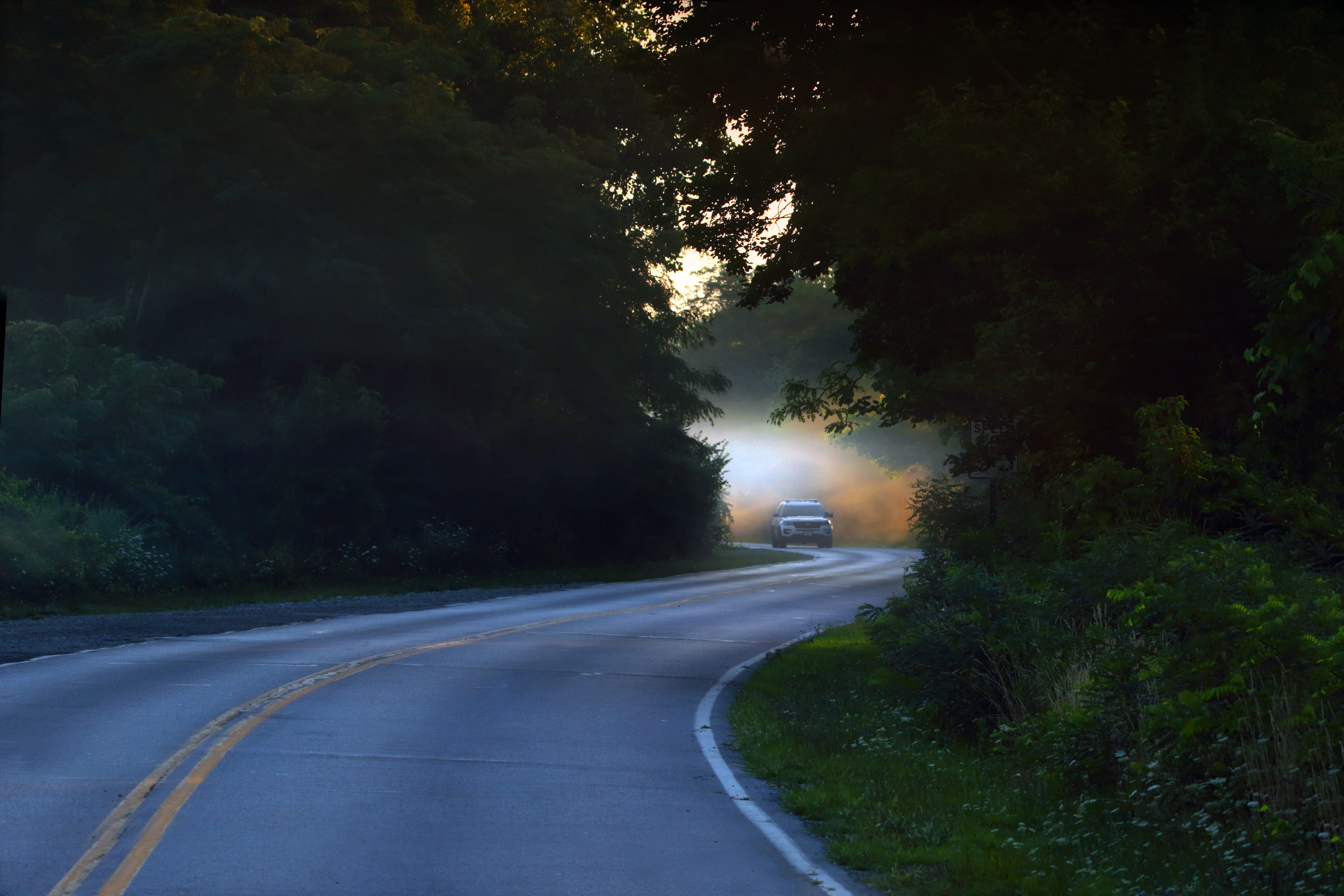 winding road, long, morning, rush hour, traffic, day, nature, beauty in nature, symbol, diminishing perspective, s curve, land vehicle, marking, transportation, HD Wallpaper