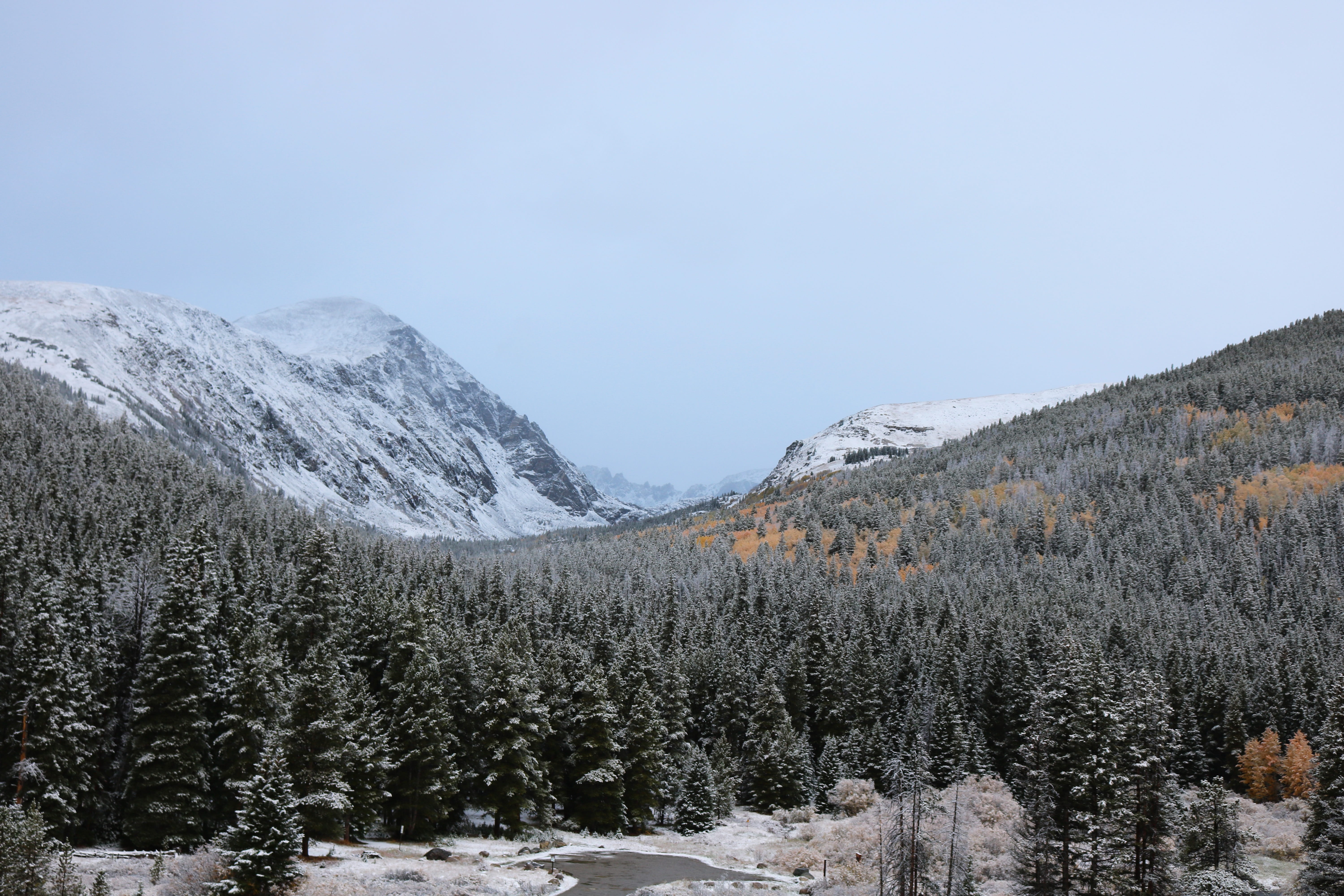 season, vacation, mountain, mountain range, outdoor, pine tree, pine woodland, peak, snowy mountains, 5K, snow, plant, coniferous tree, ski, white, land, HD Wallpaper