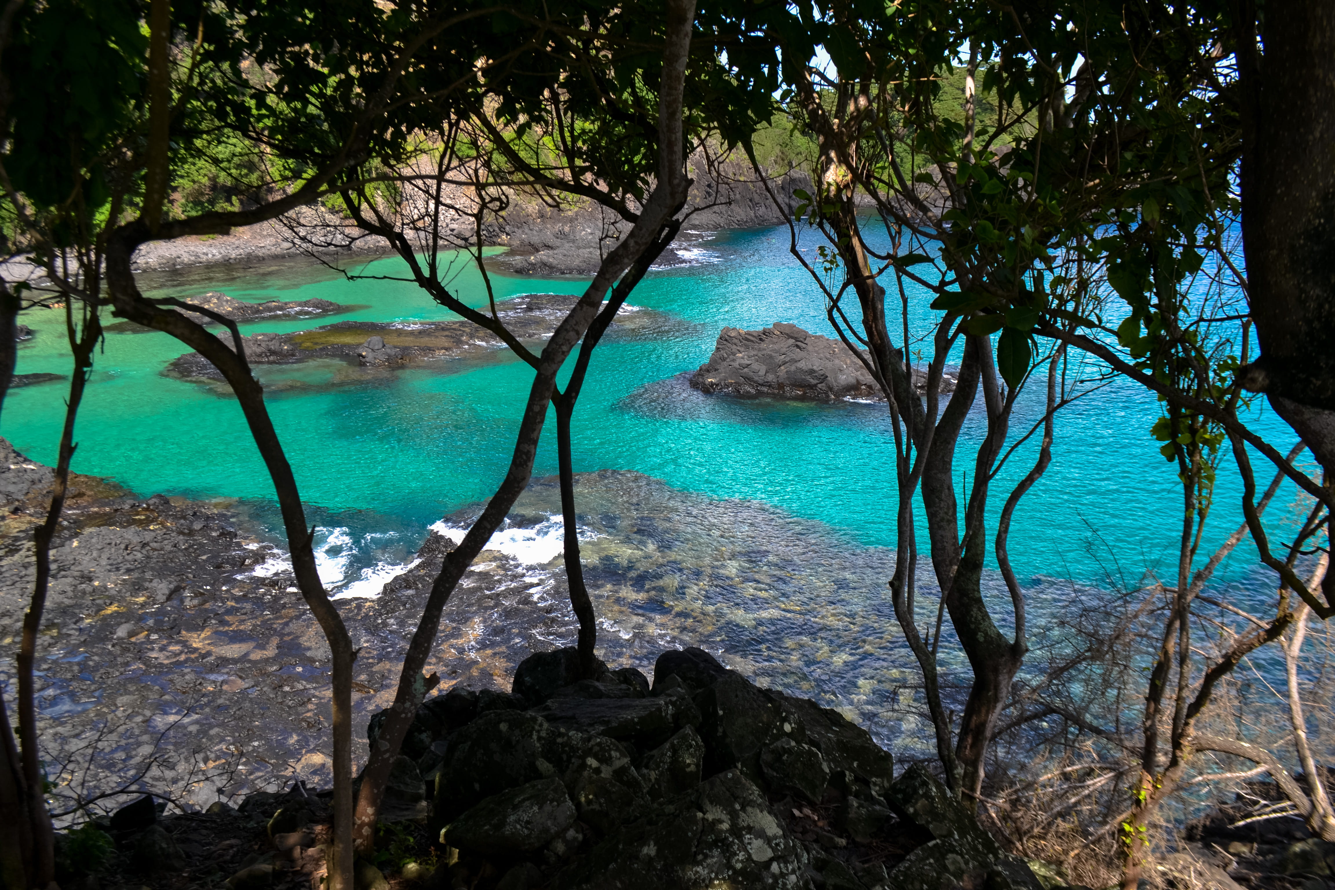 baia dos porcos, water, turquoise colored, noronha, tranquility, swimming pool, sea, dolphin, beauty in nature, tranquil scene, beach, idyllic, fernando de noronha, HD Wallpaper