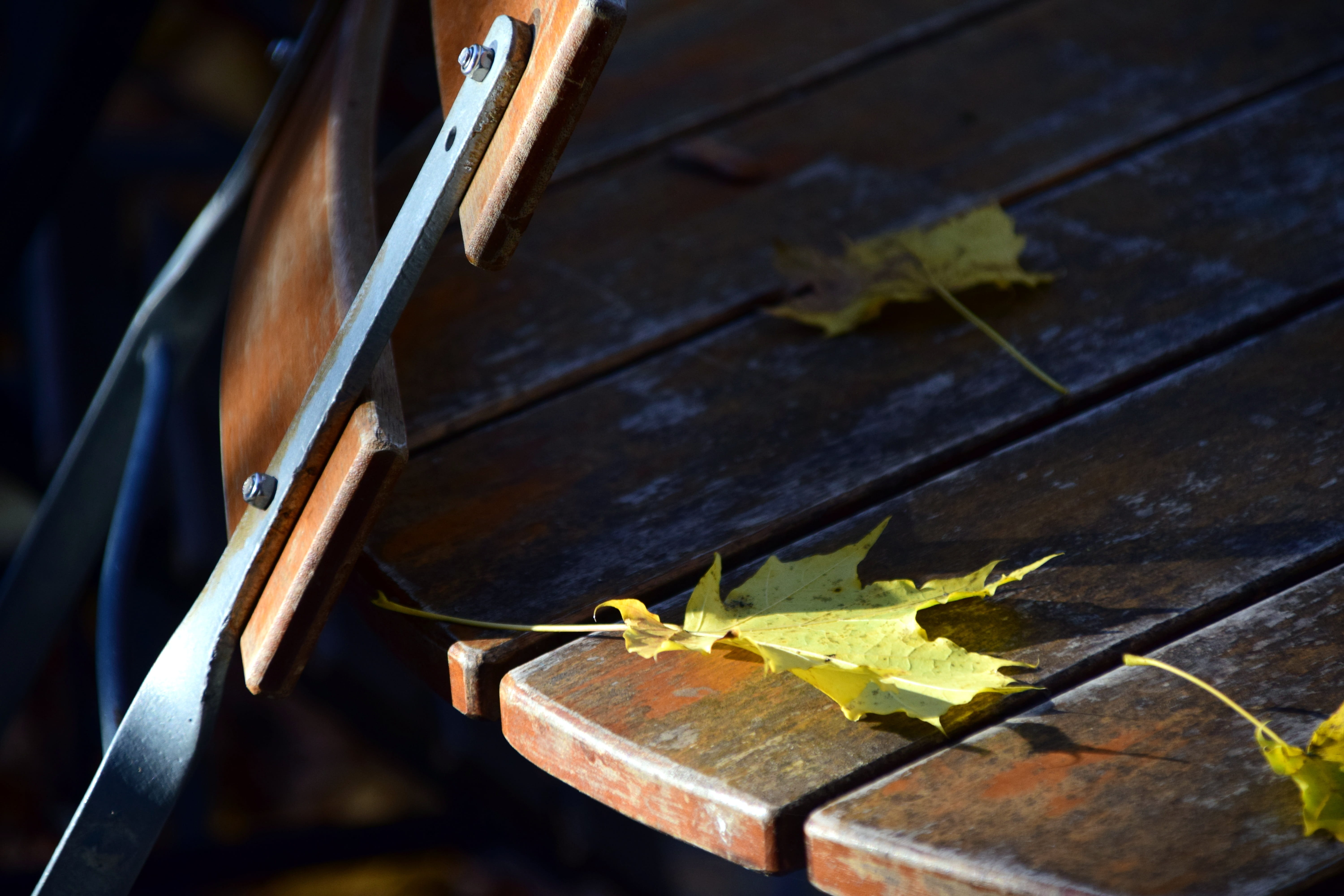 Beer Garden, after work, change, high angle view, table, load circuit, day, chairs, fall foliage, dry, sunlight, autumn, saisonende, selective focus, end season, HD Wallpaper